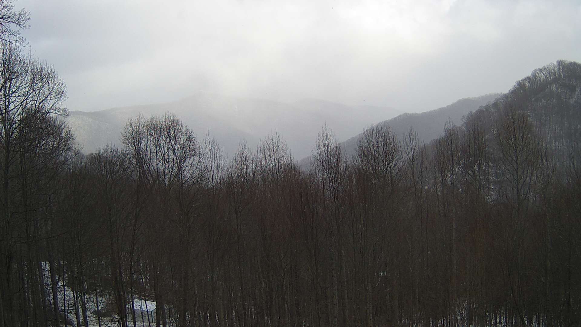 click for next image... slideshow image