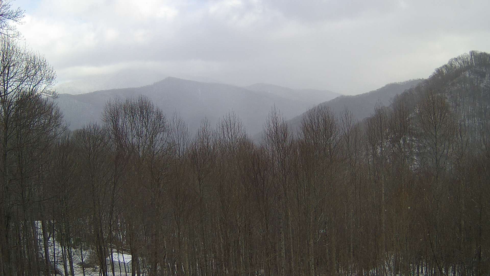 click for next image... slideshow image