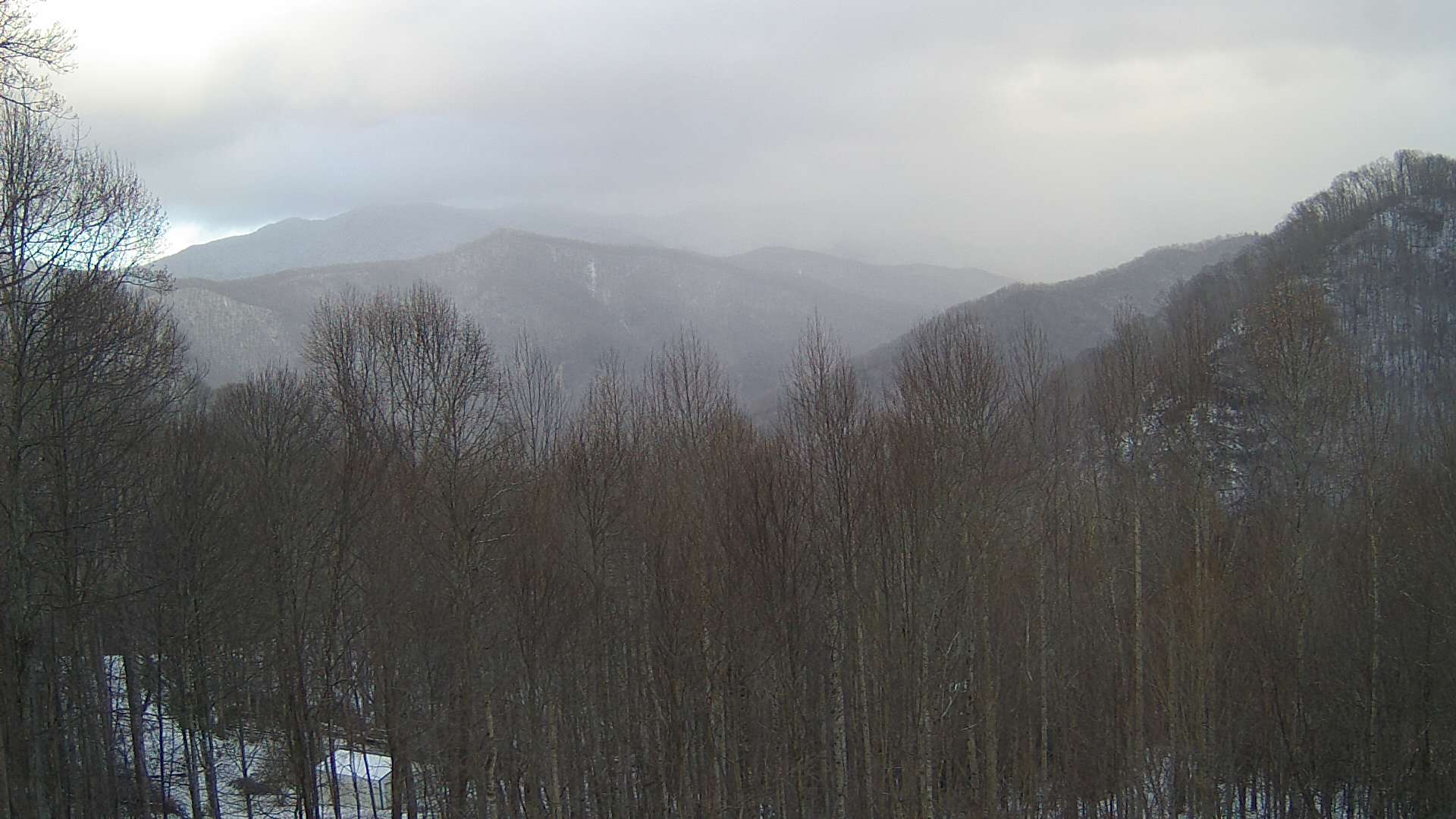 click for next image... slideshow image