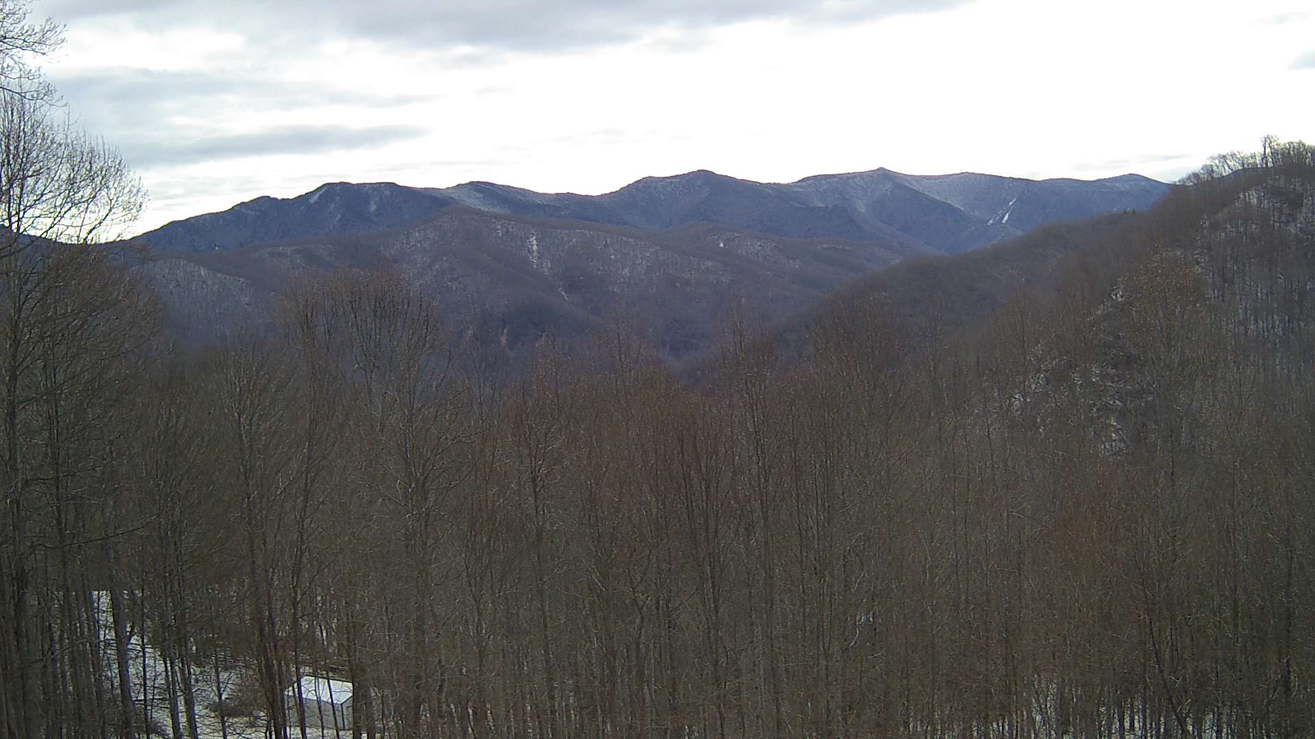 click for next image... slideshow image