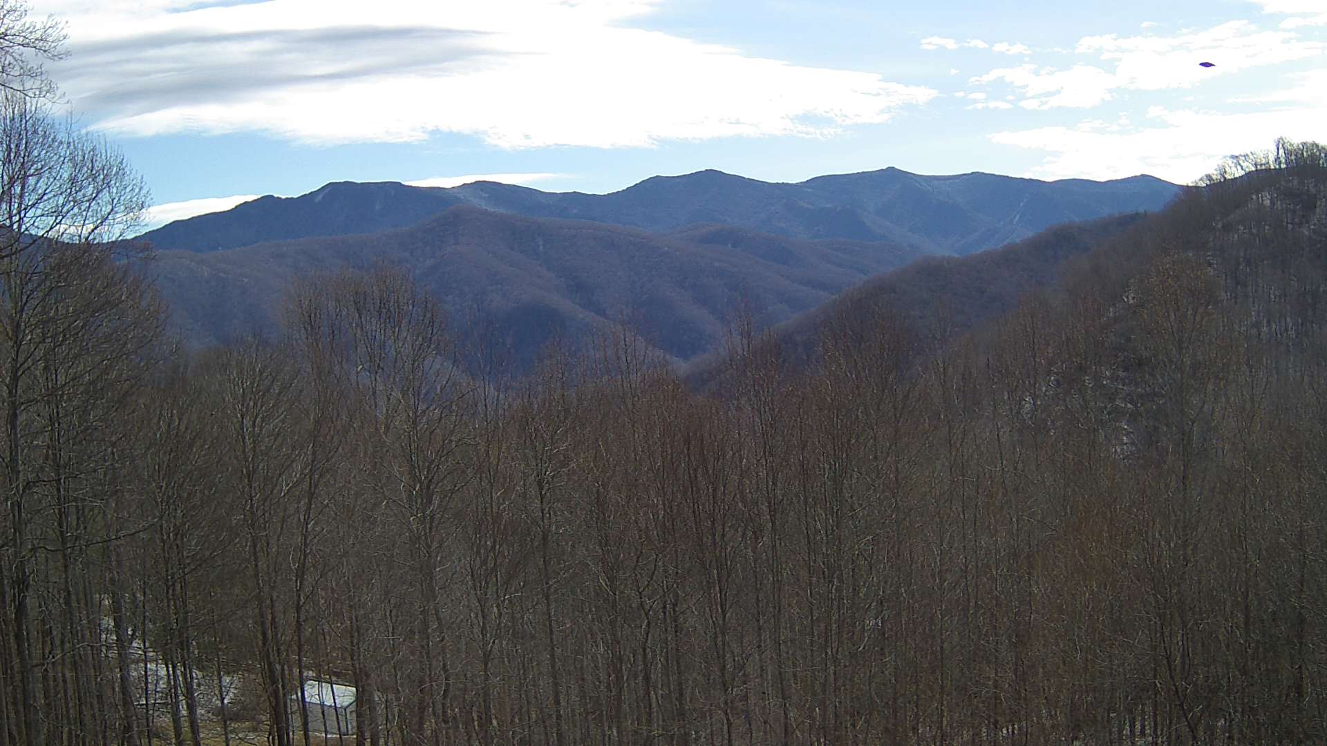 click for next image... slideshow image