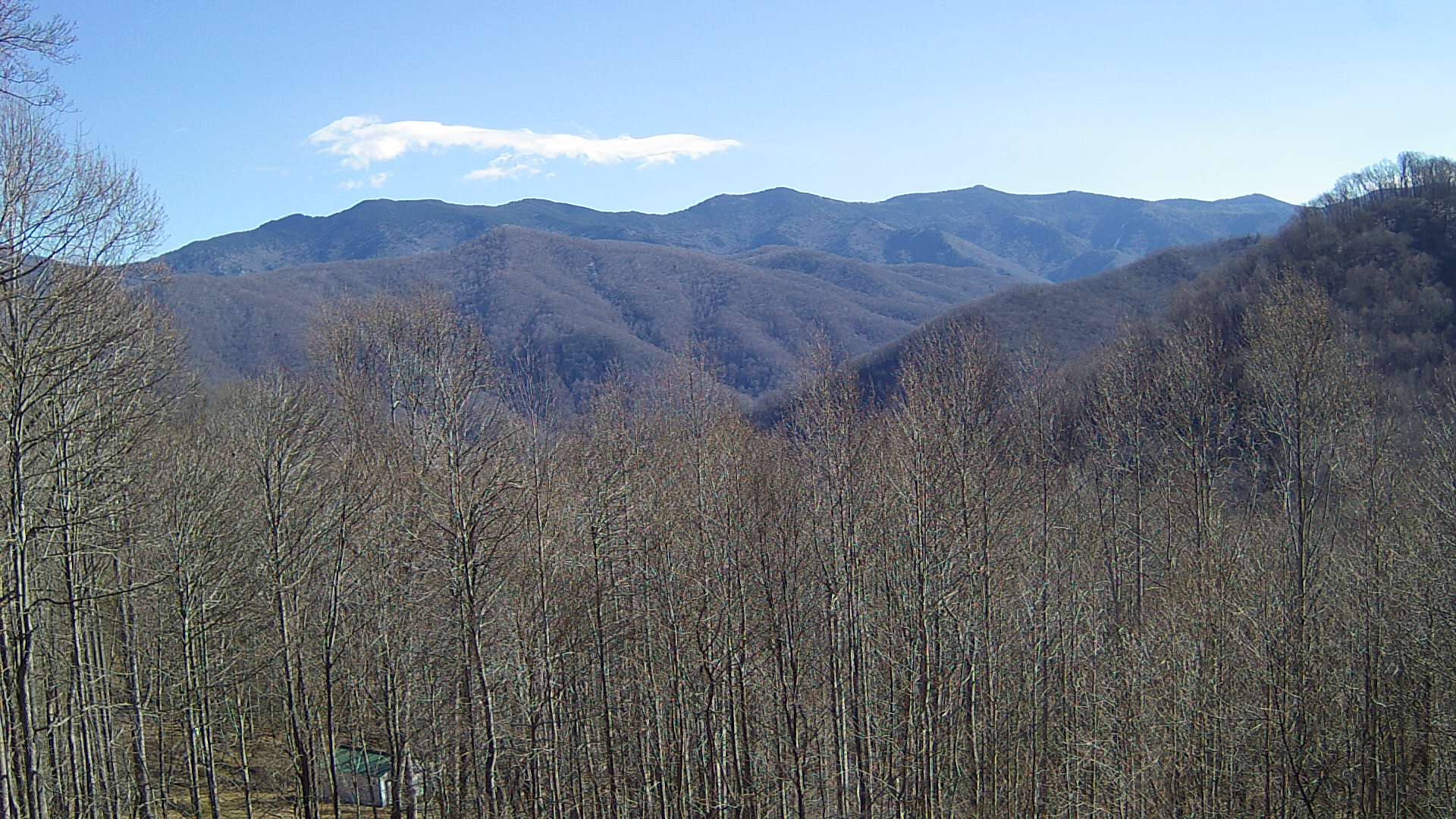 click for next image... slideshow image