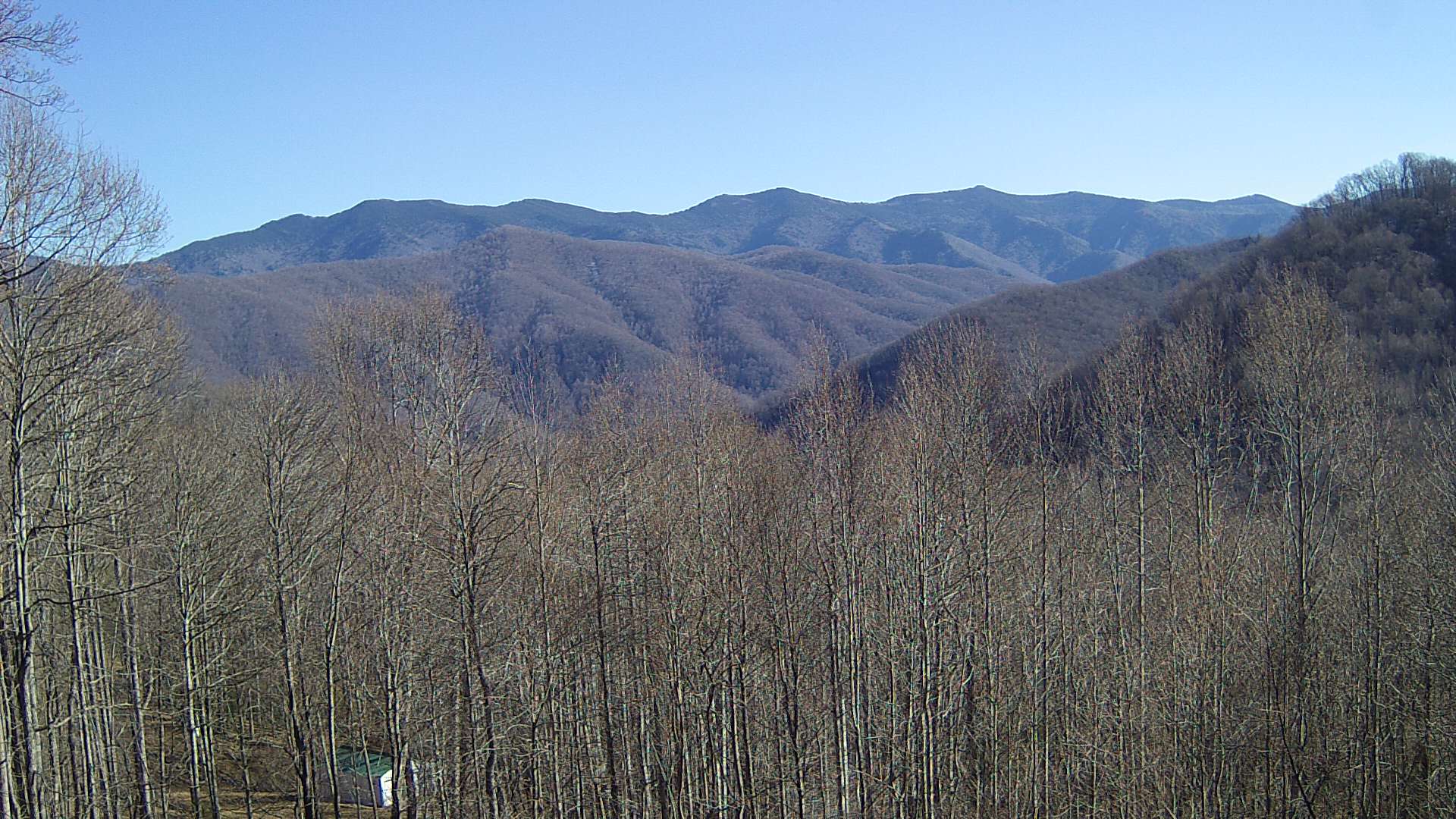 click for next image... slideshow image