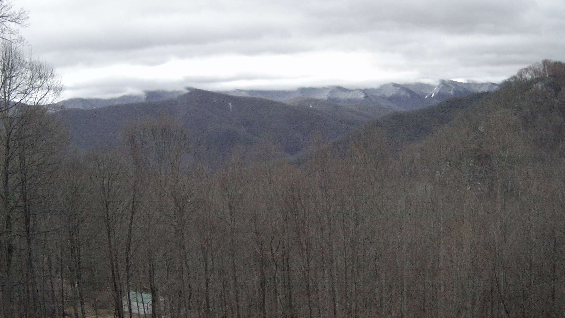 click for next image... slideshow image