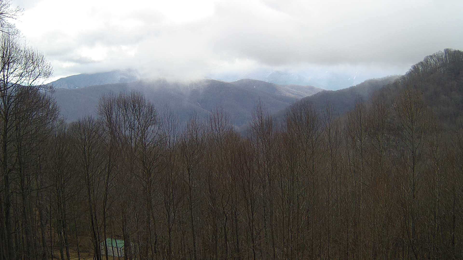 click for next image... slideshow image