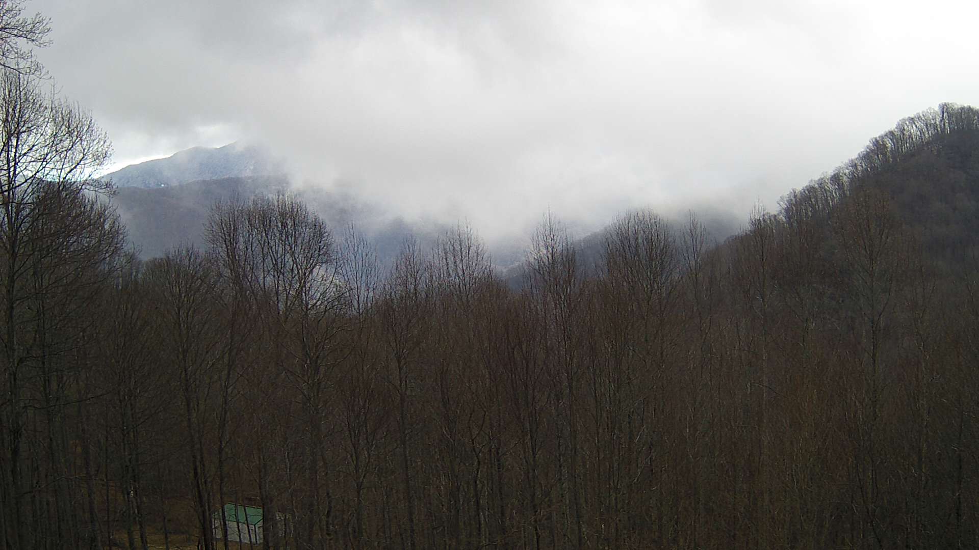 click for next image... slideshow image