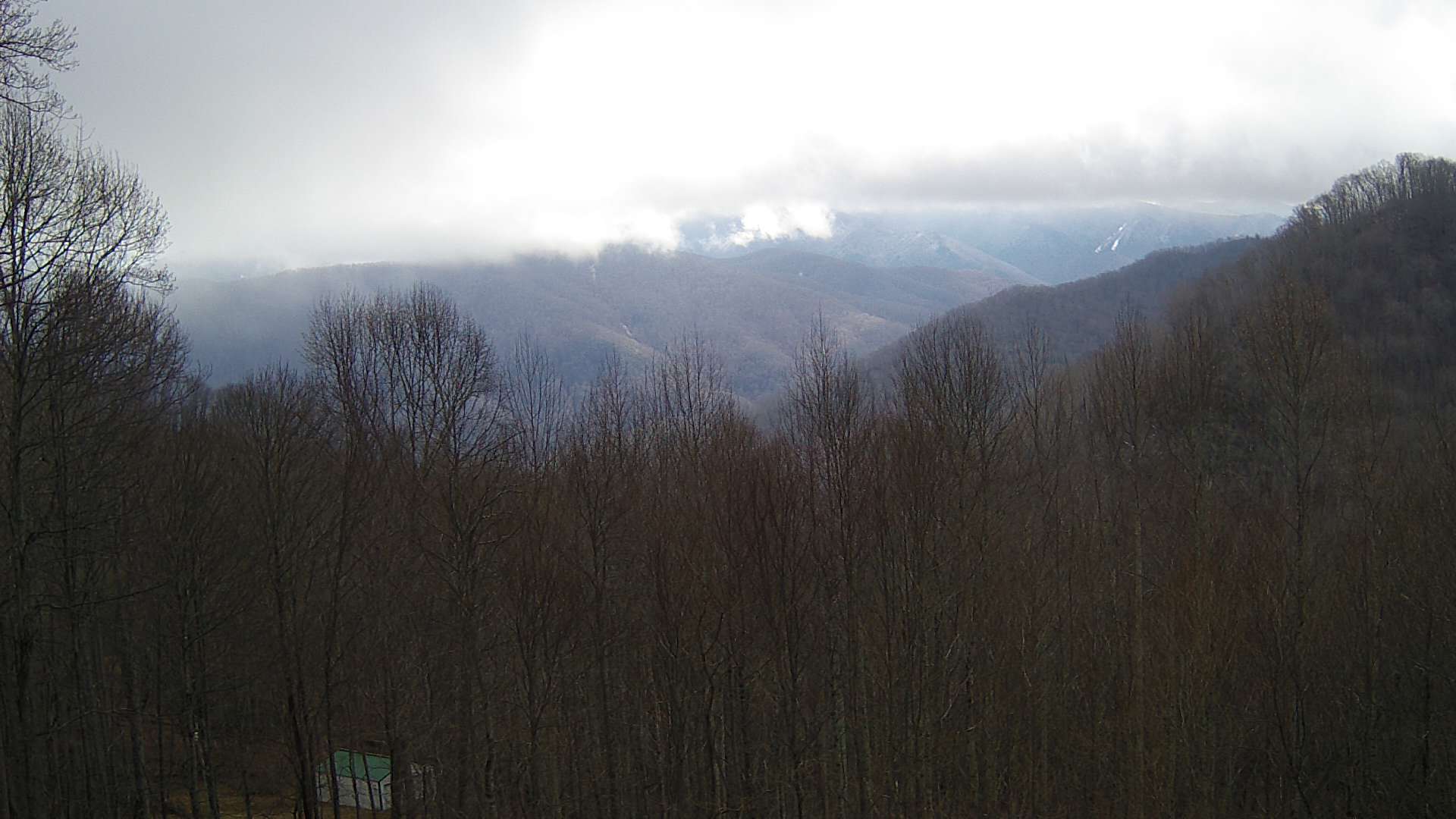 click for next image... slideshow image