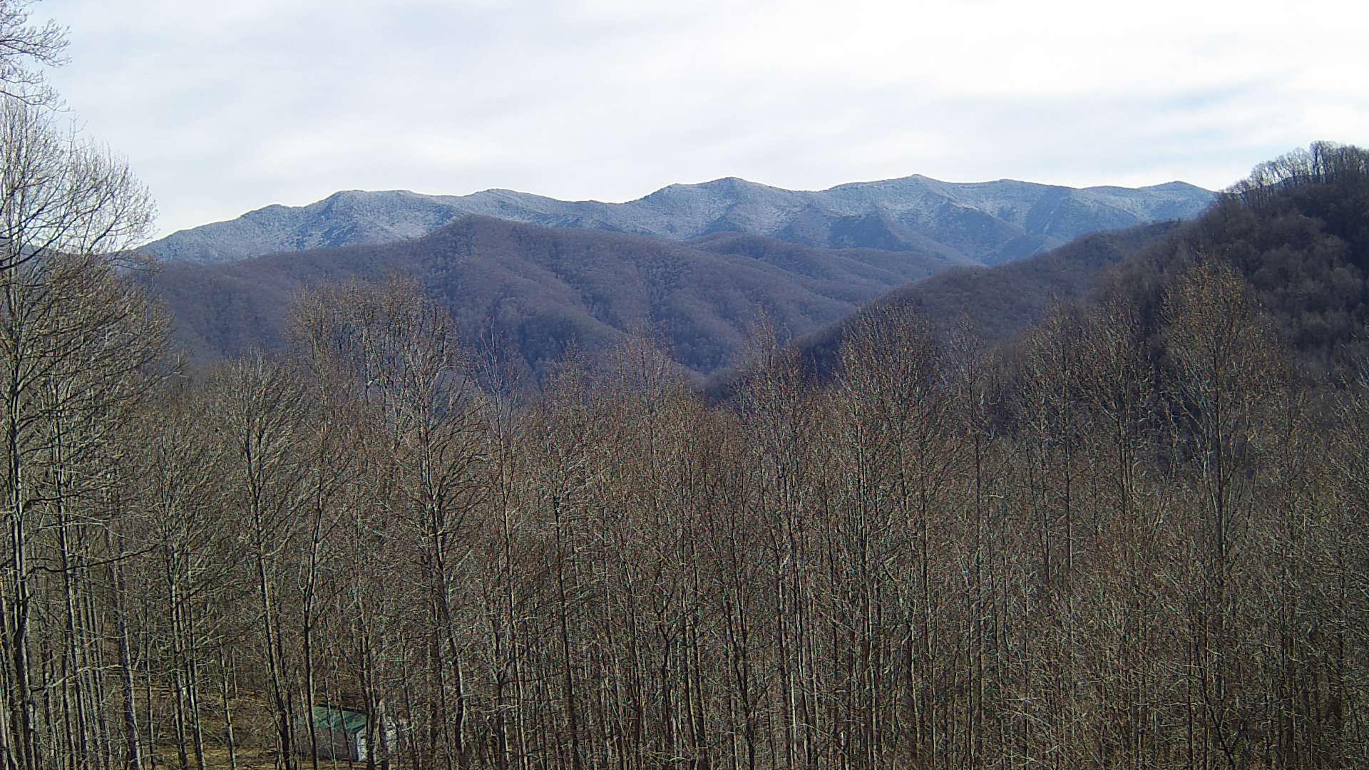 click for next image... slideshow image