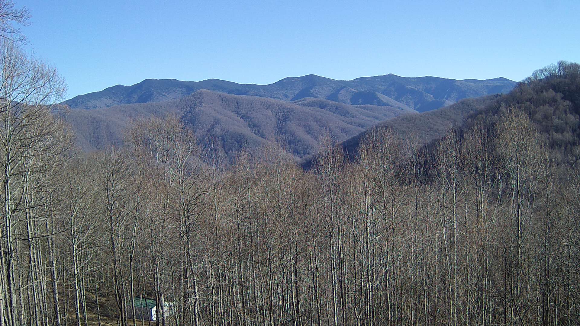 click for next image... slideshow image