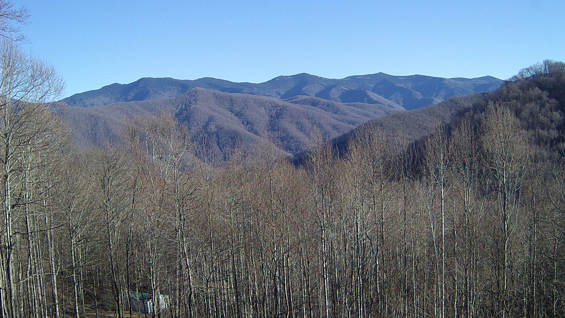 click for next image... slideshow image