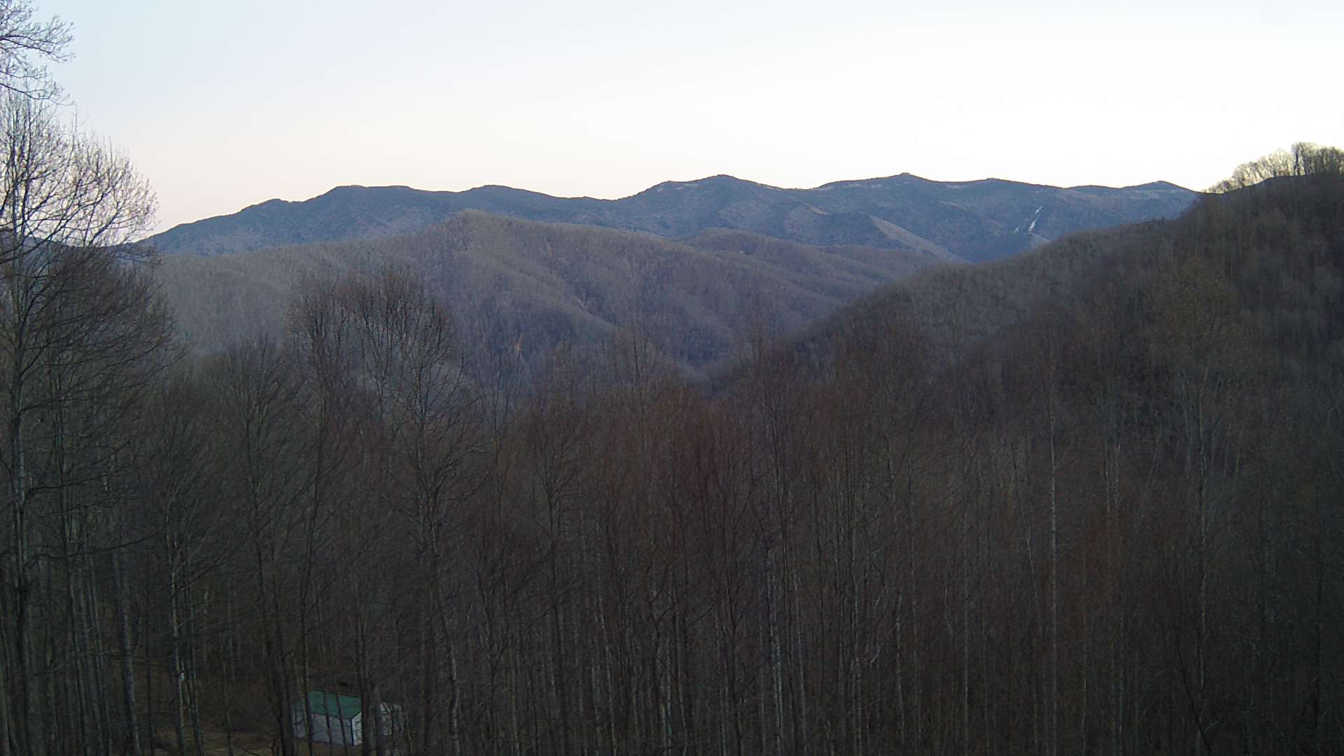 click for next image... slideshow image