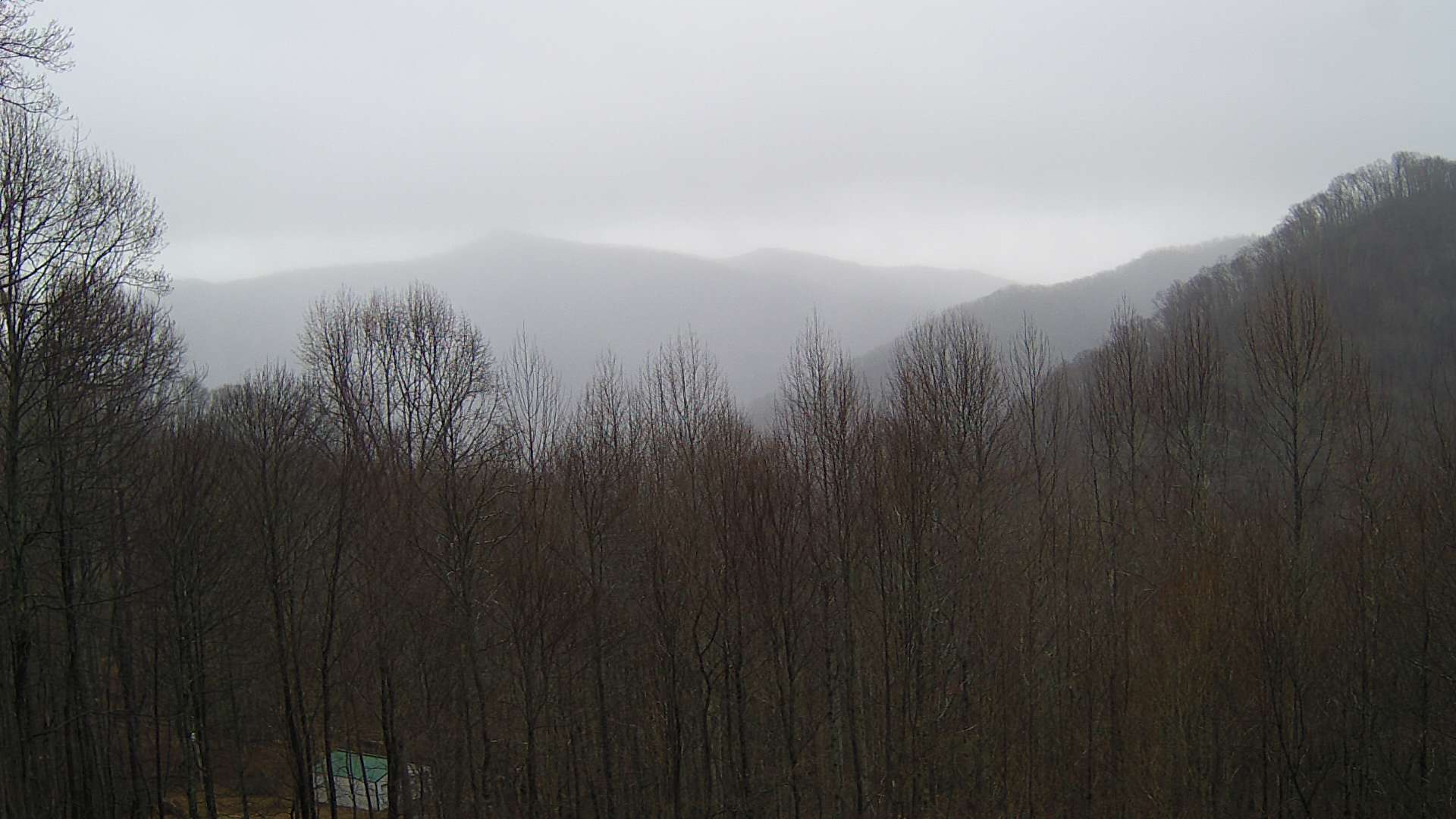 click for next image... slideshow image