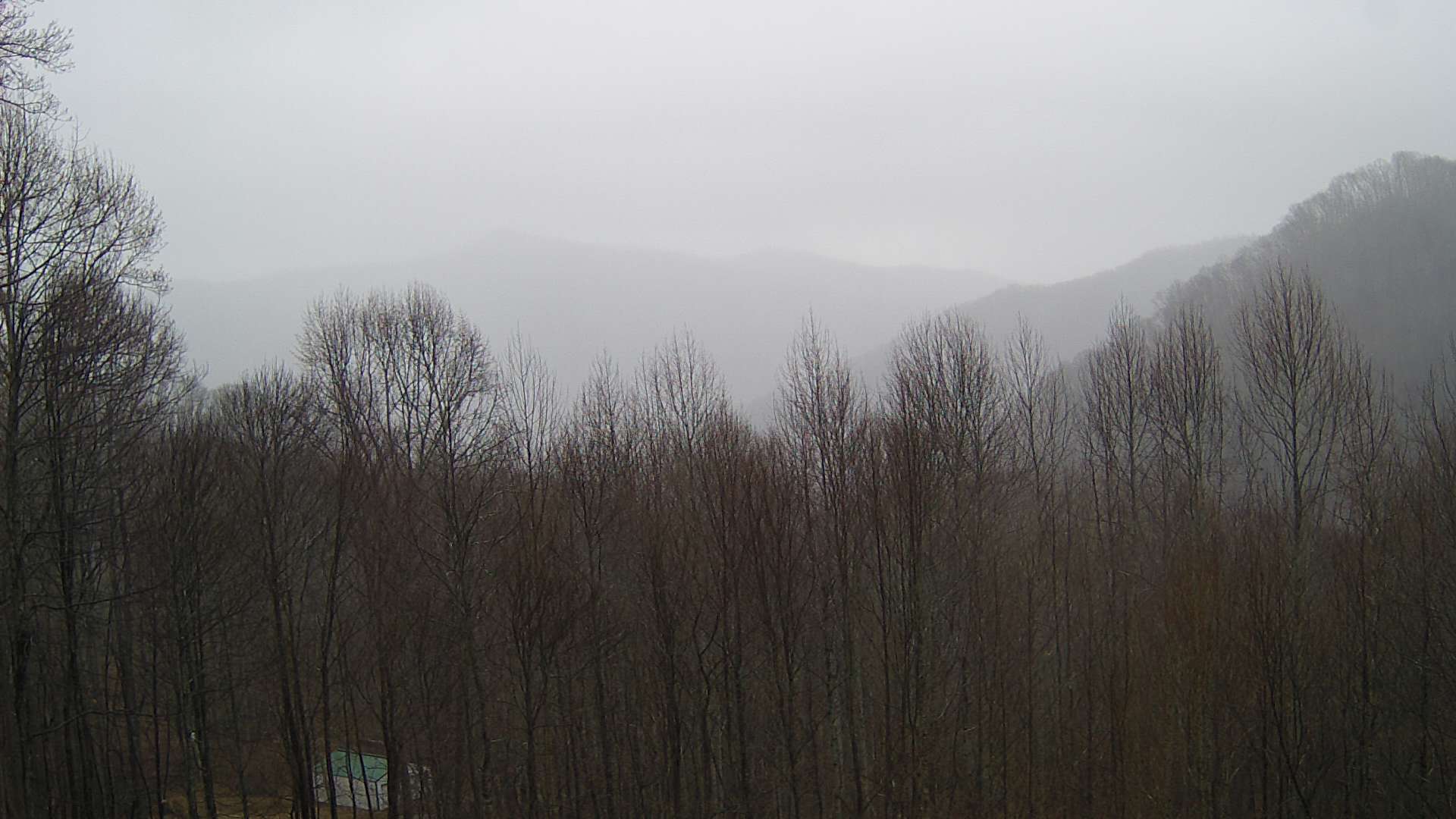 click for next image... slideshow image