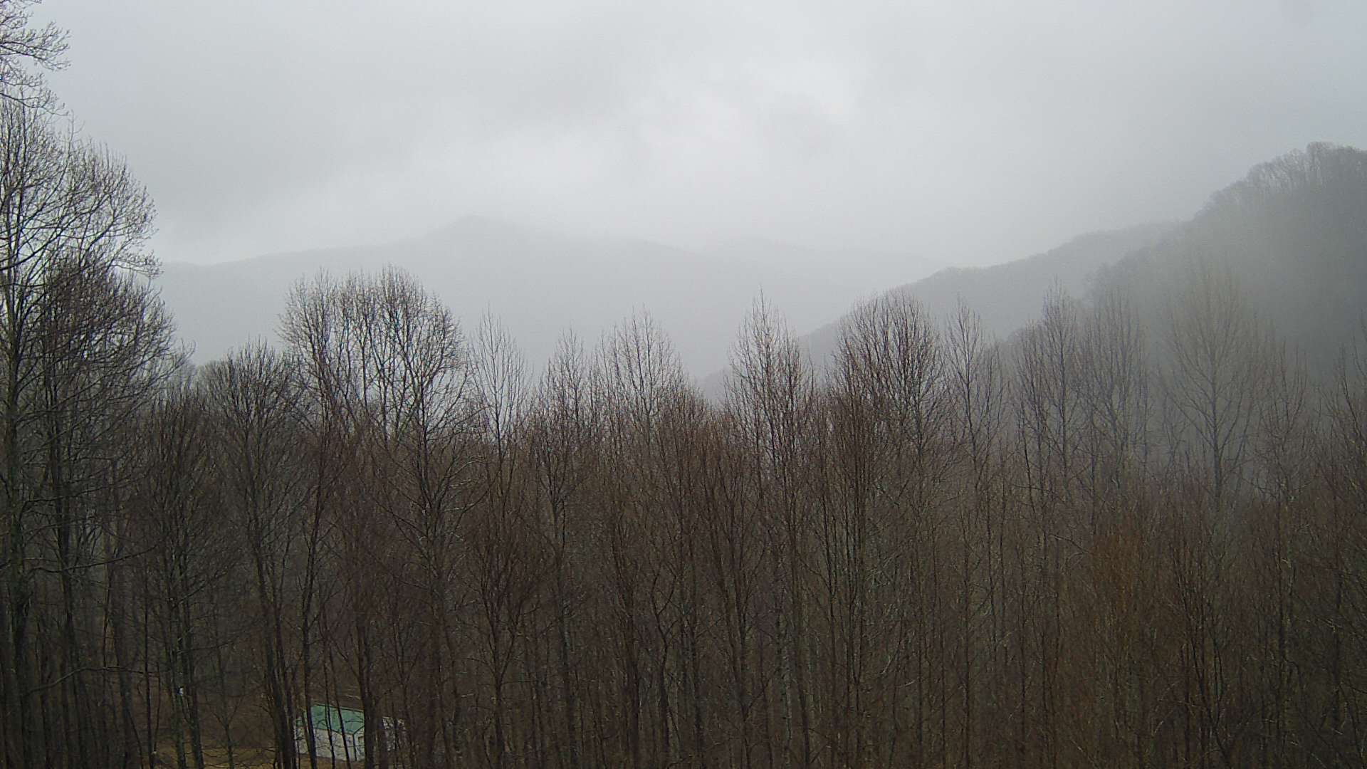 click for next image... slideshow image