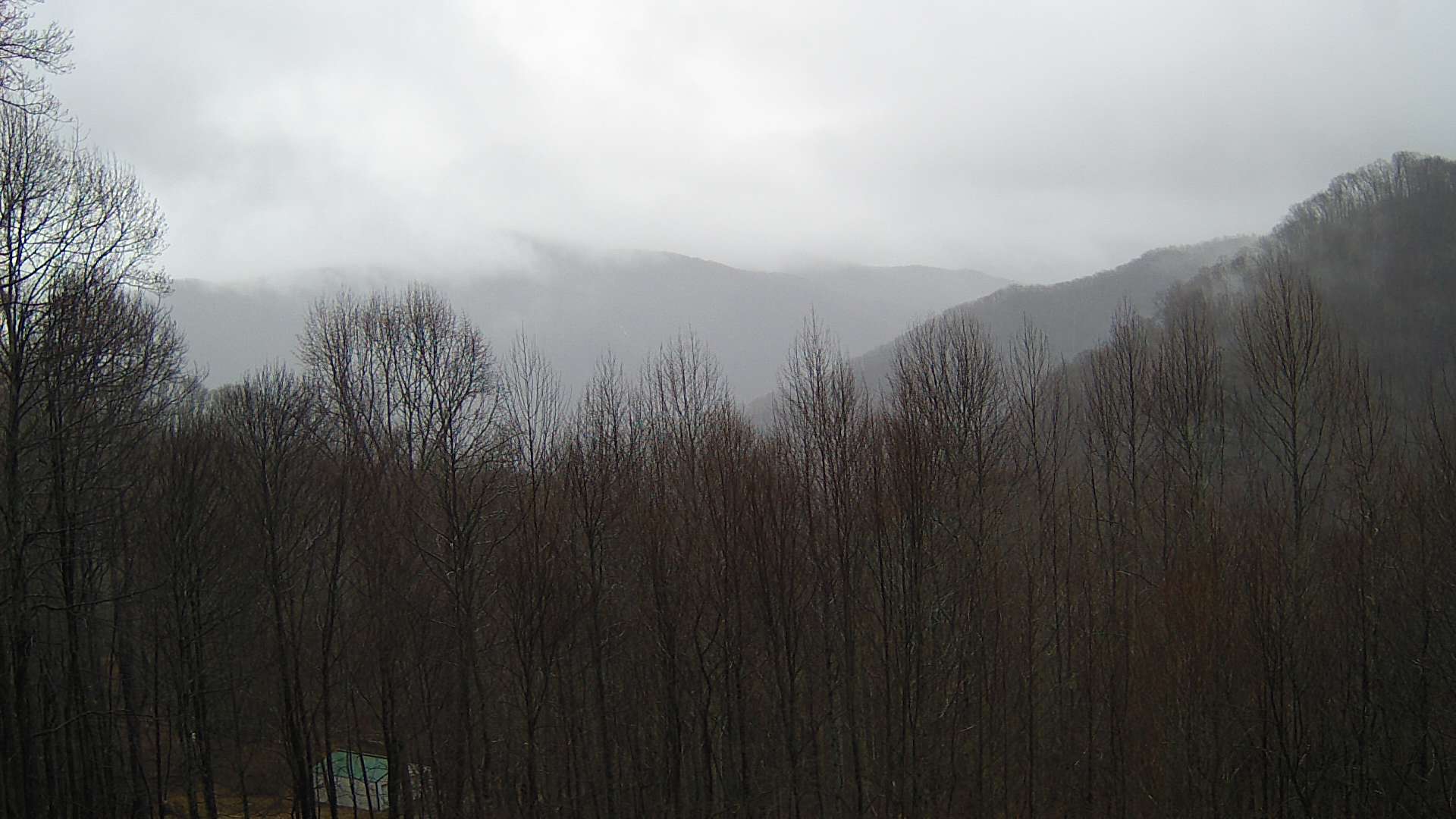 click for next image... slideshow image