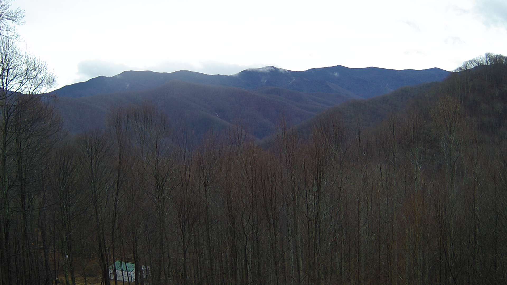 click for next image... slideshow image