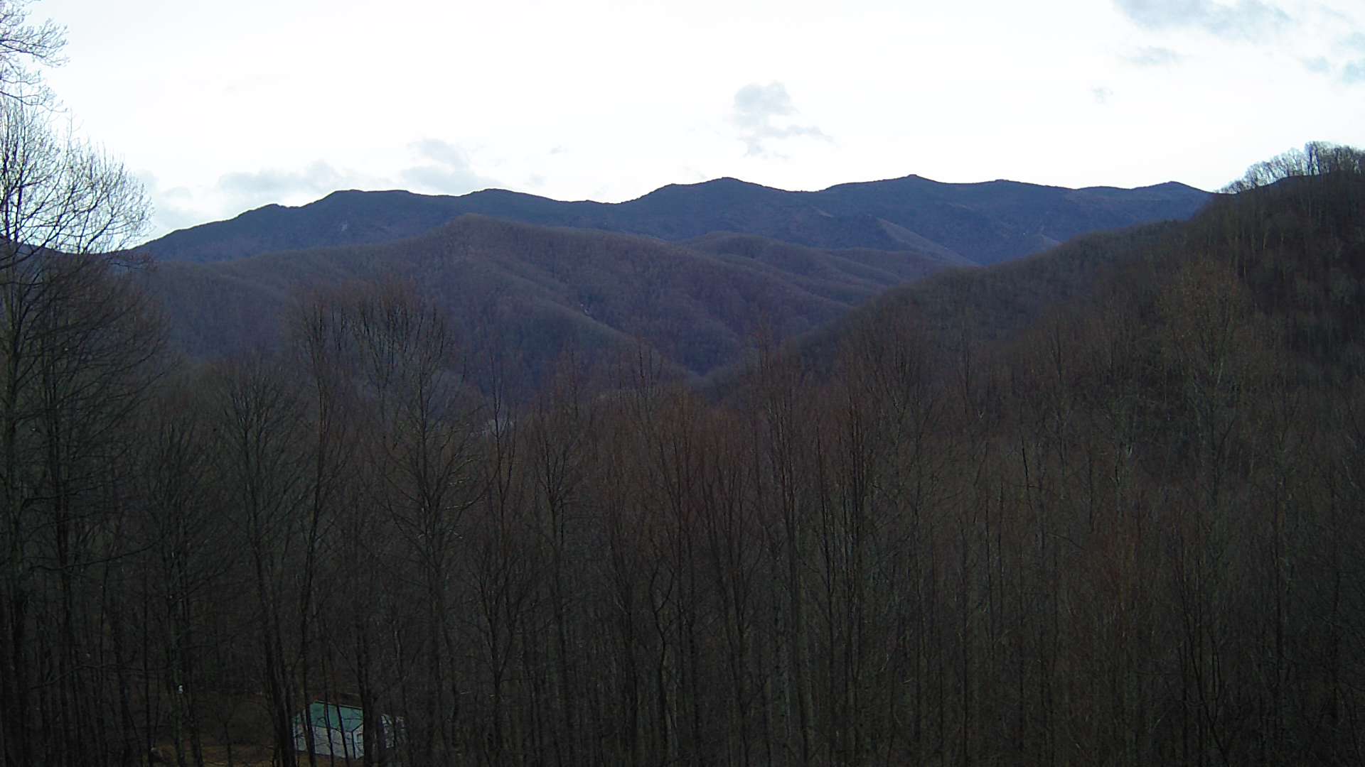 click for next image... slideshow image