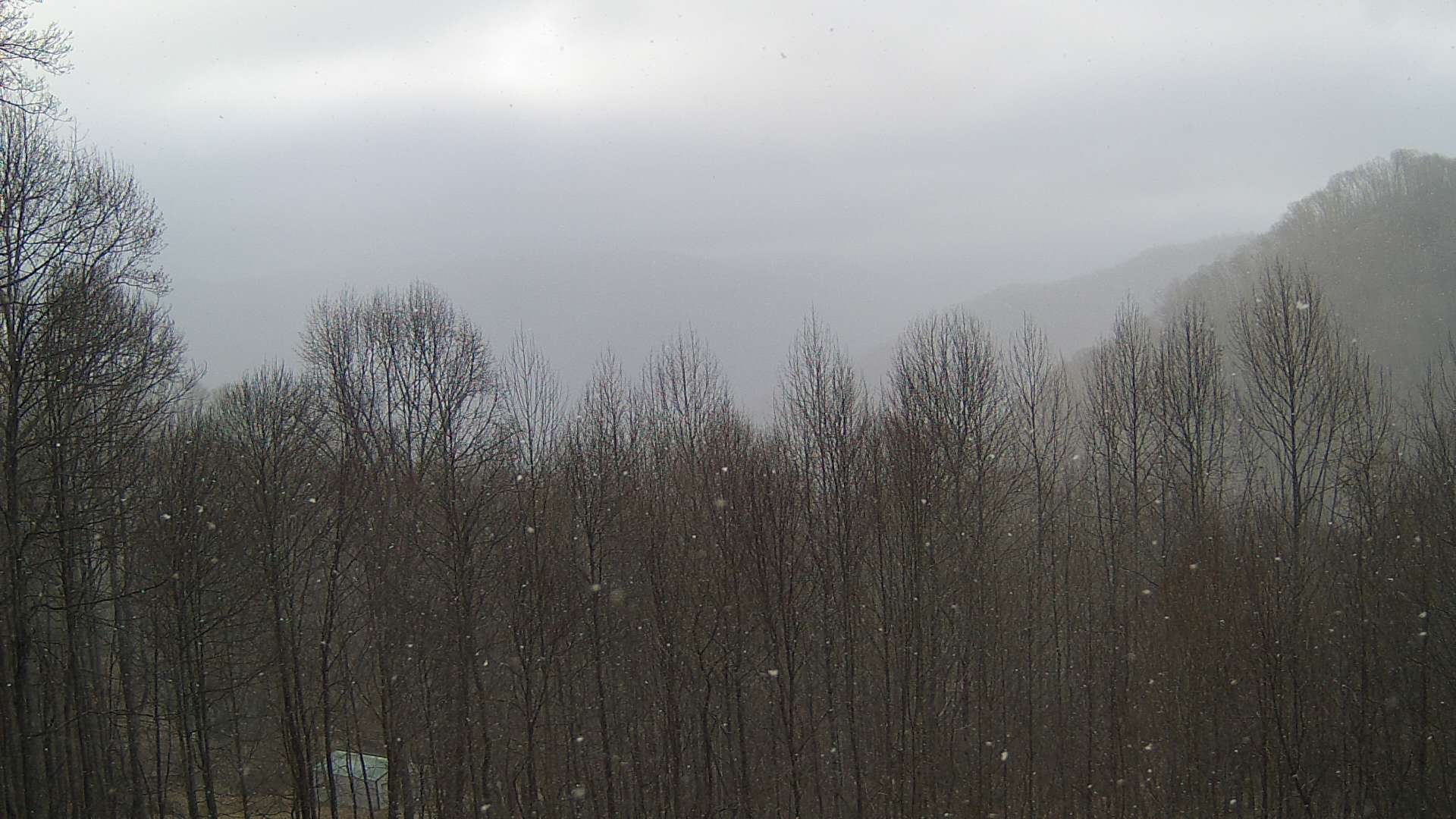 click for next image... slideshow image