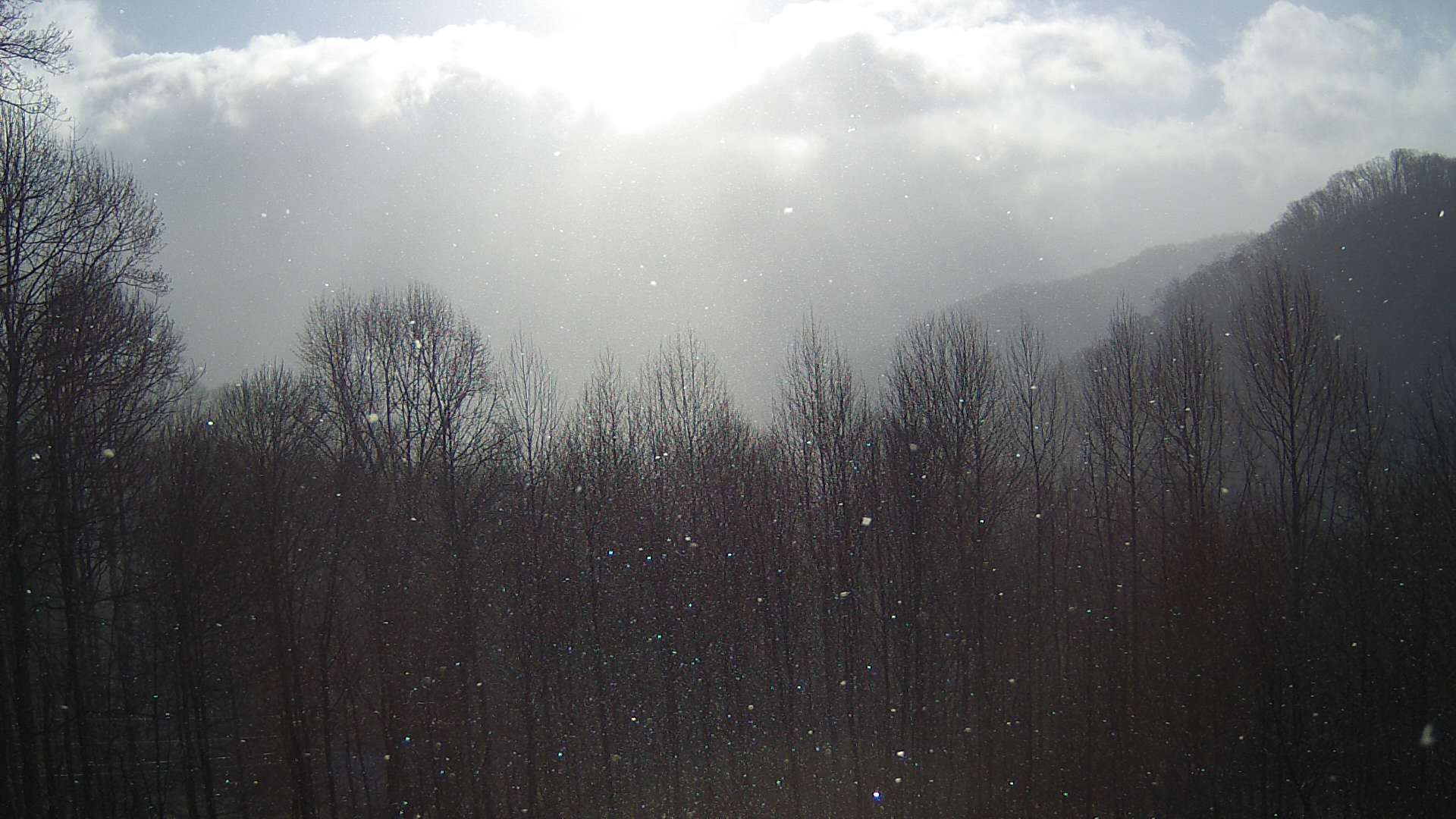 click for next image... slideshow image