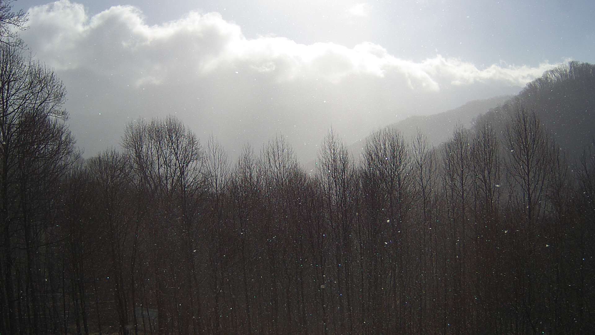 click for next image... slideshow image