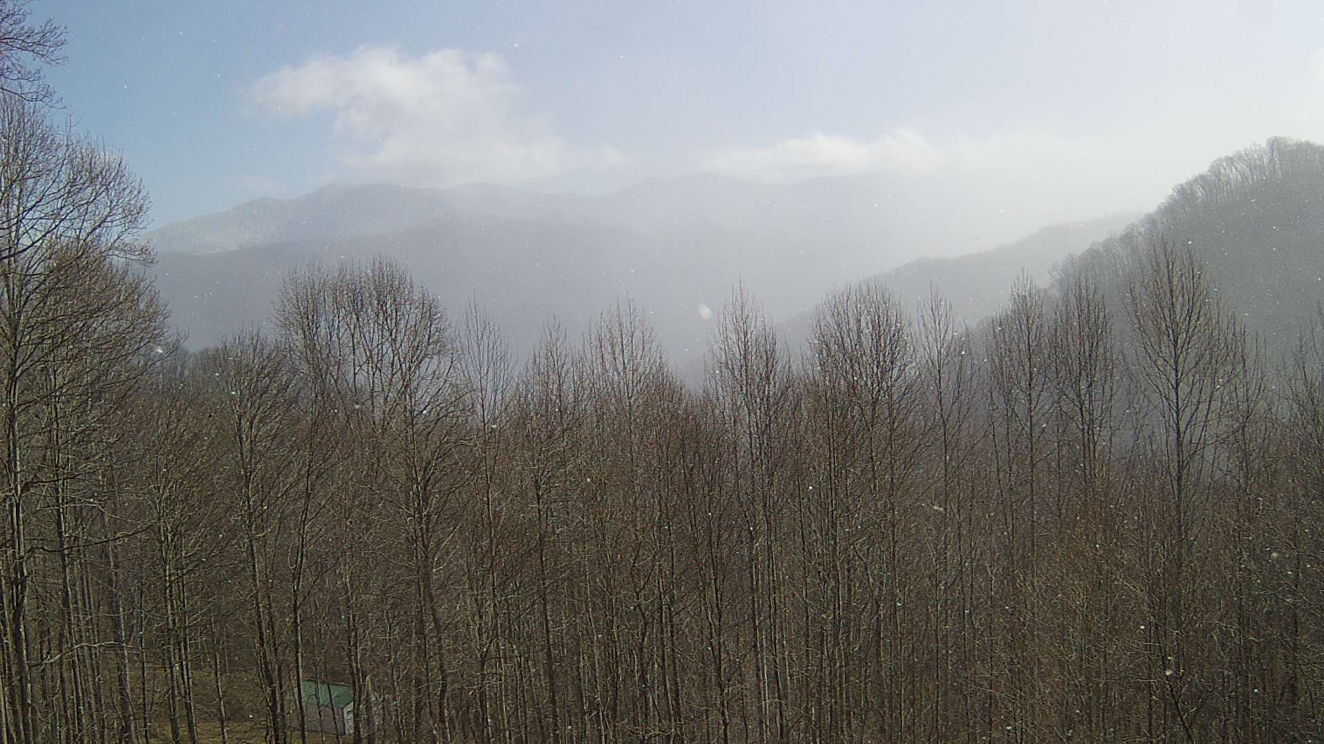 click for next image... slideshow image