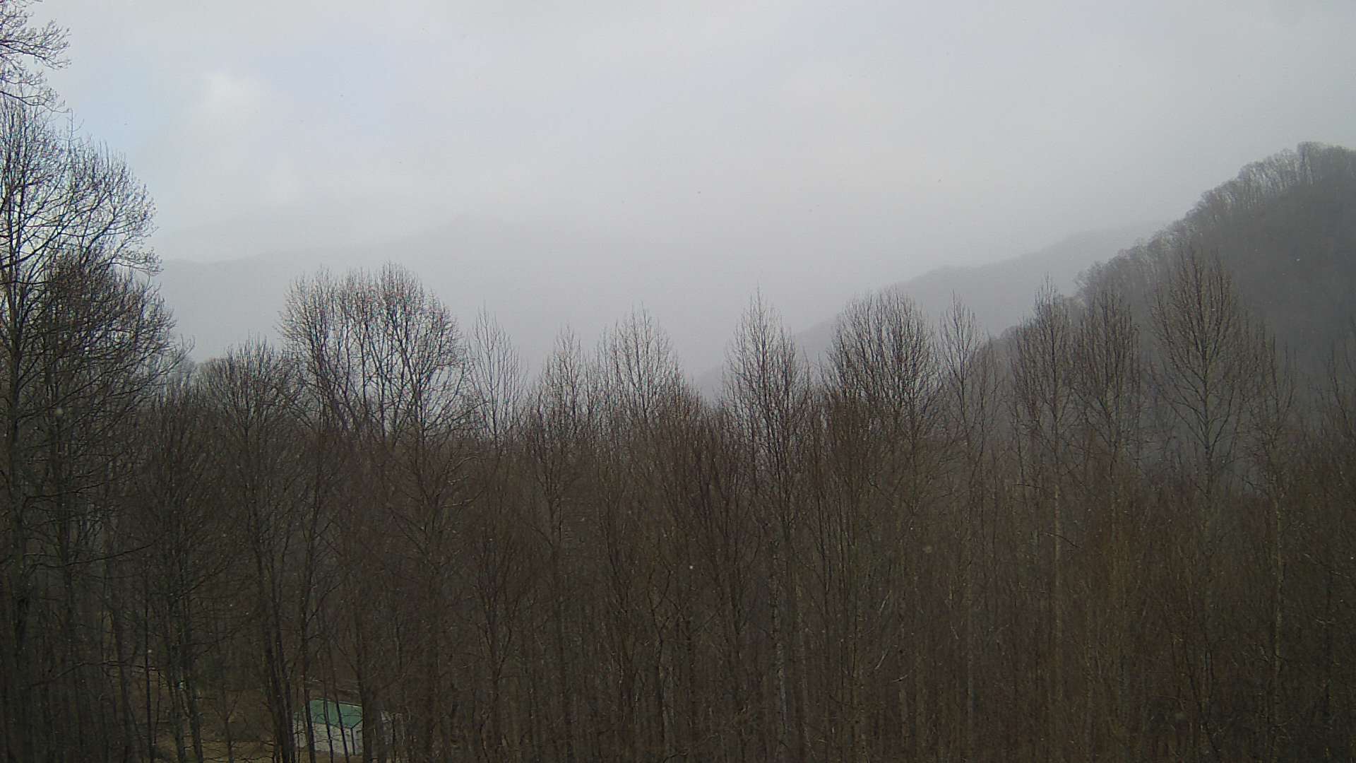 click for next image... slideshow image