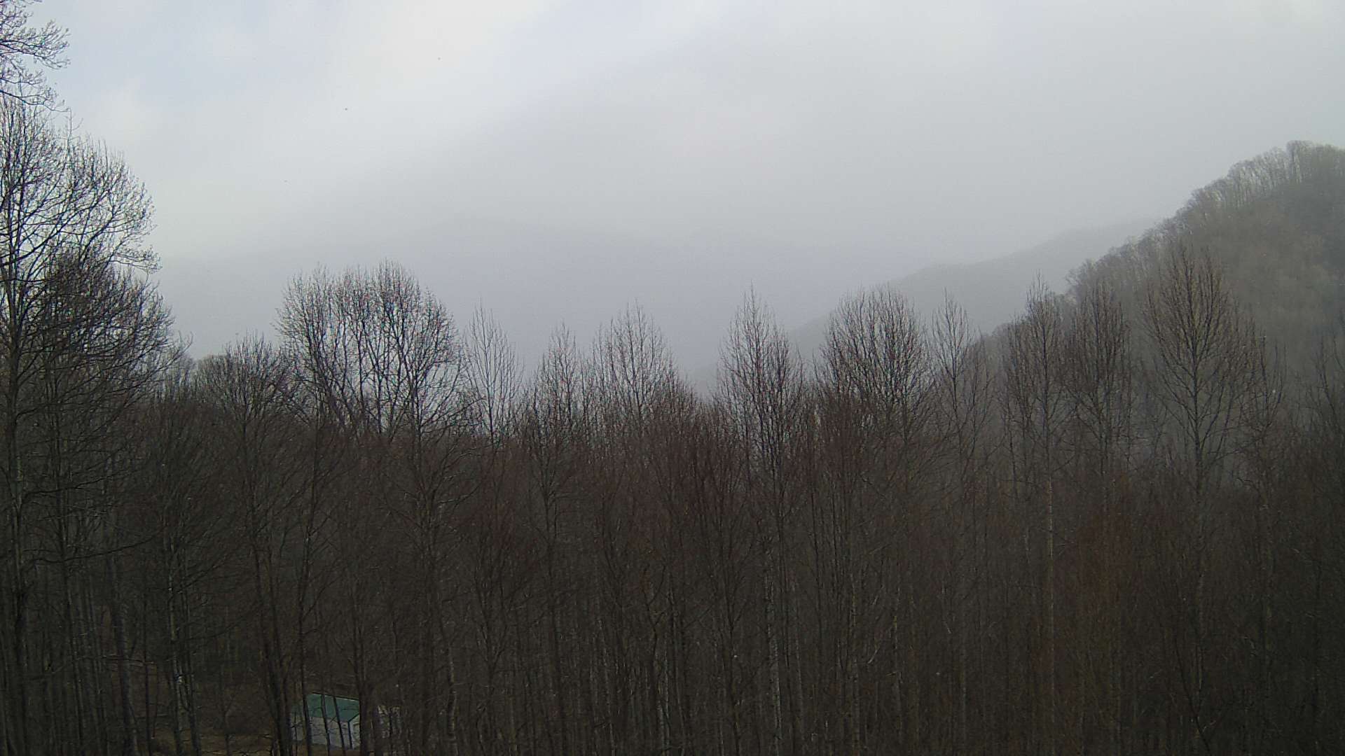 click for next image... slideshow image