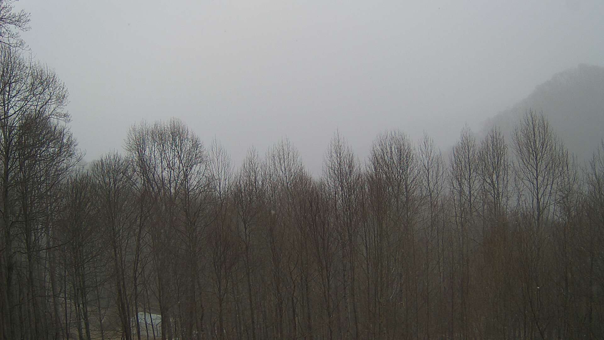 click for next image... slideshow image