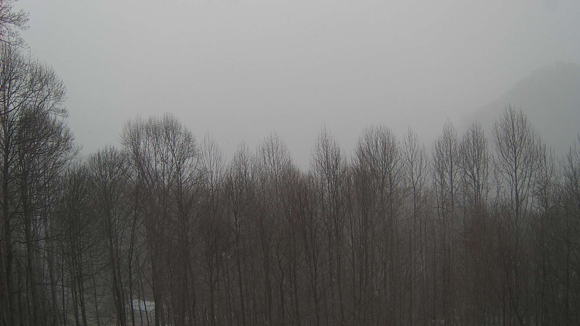 click for next image... slideshow image