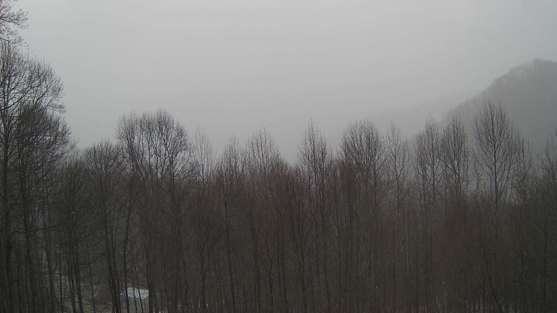 click for next image... slideshow image