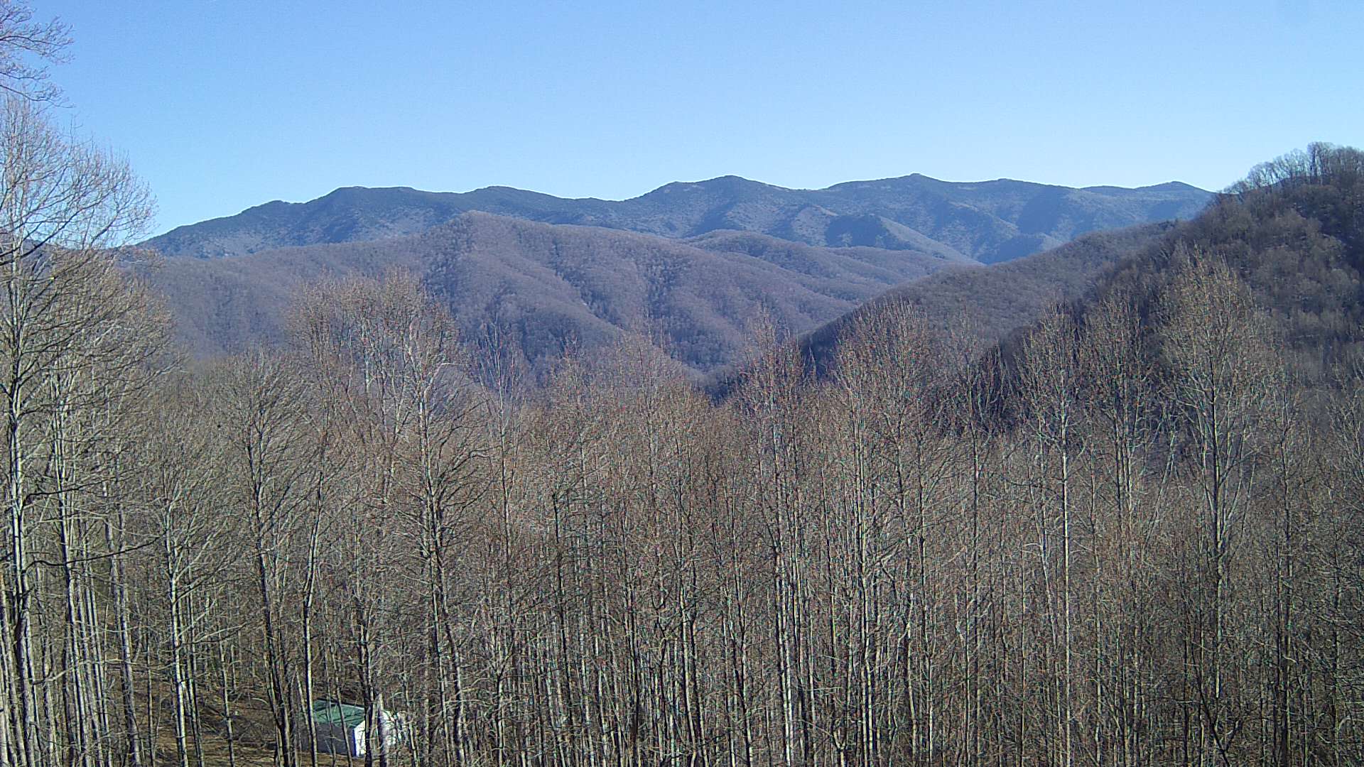 click for next image... slideshow image