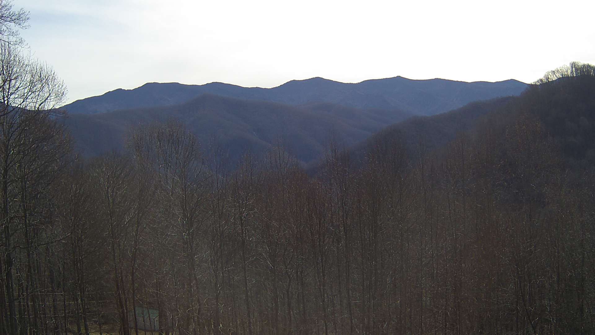 click for next image... slideshow image