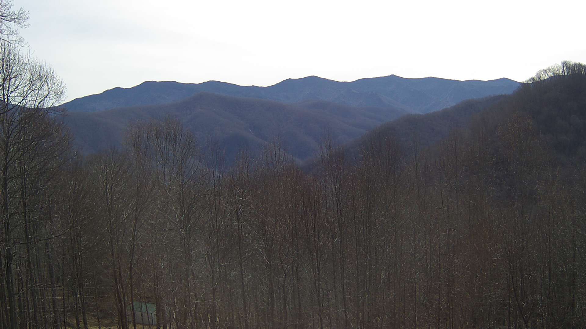 click for next image... slideshow image