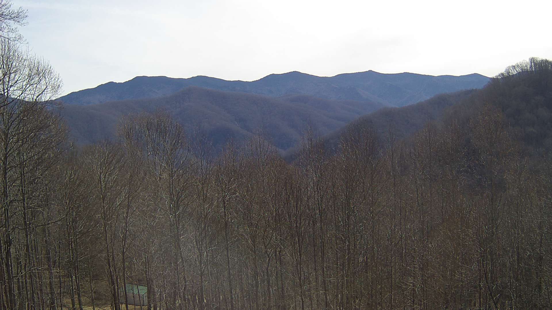 click for next image... slideshow image