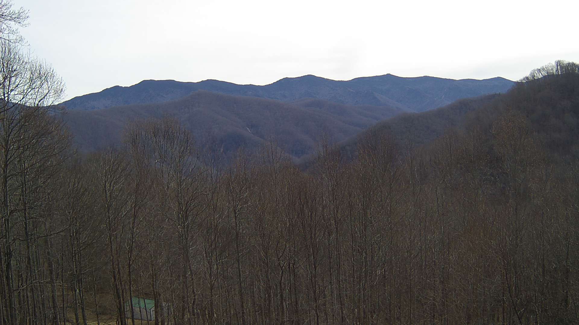 click for next image... slideshow image