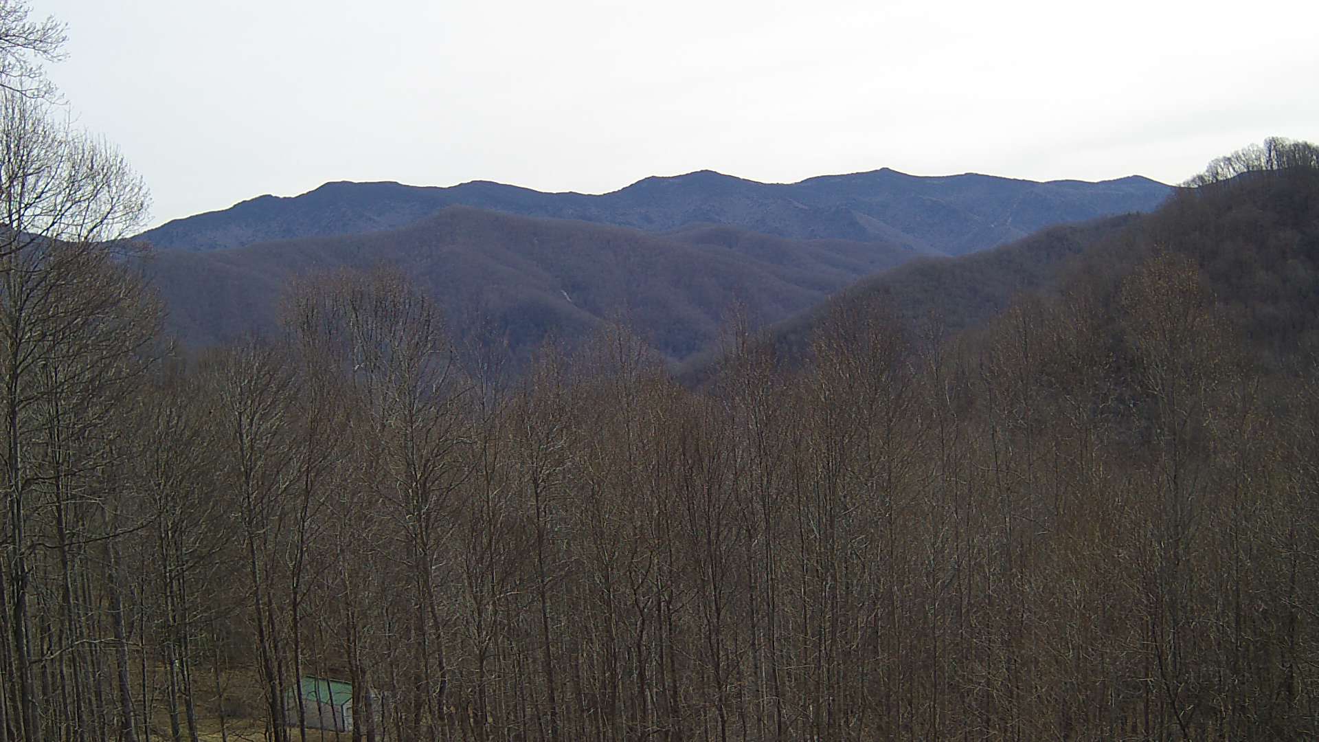 click for next image... slideshow image