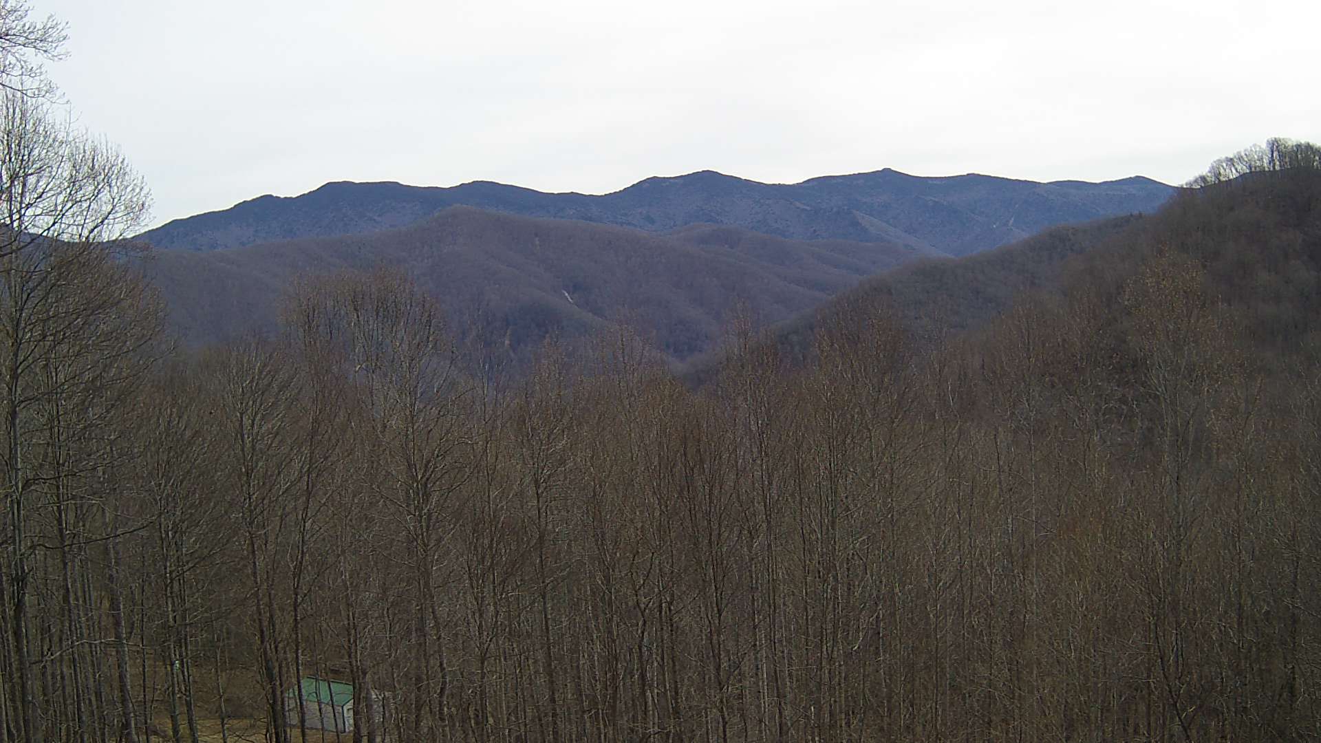 click for next image... slideshow image