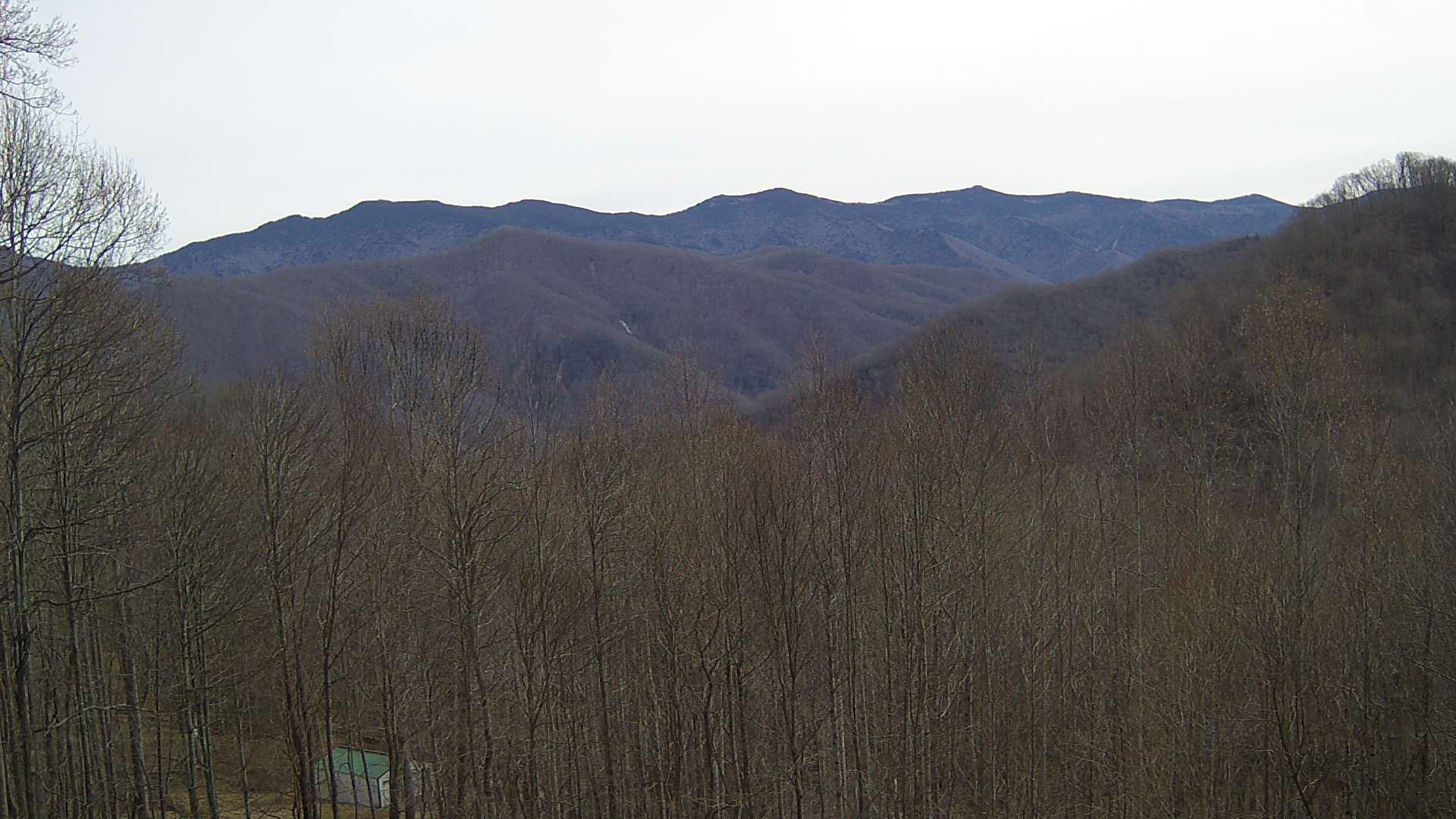 click for next image... slideshow image