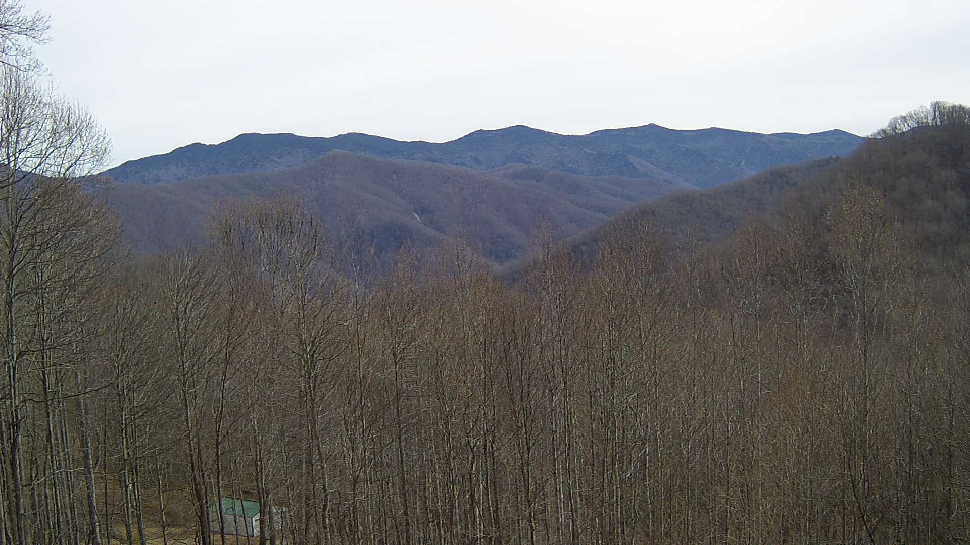 click for next image... slideshow image