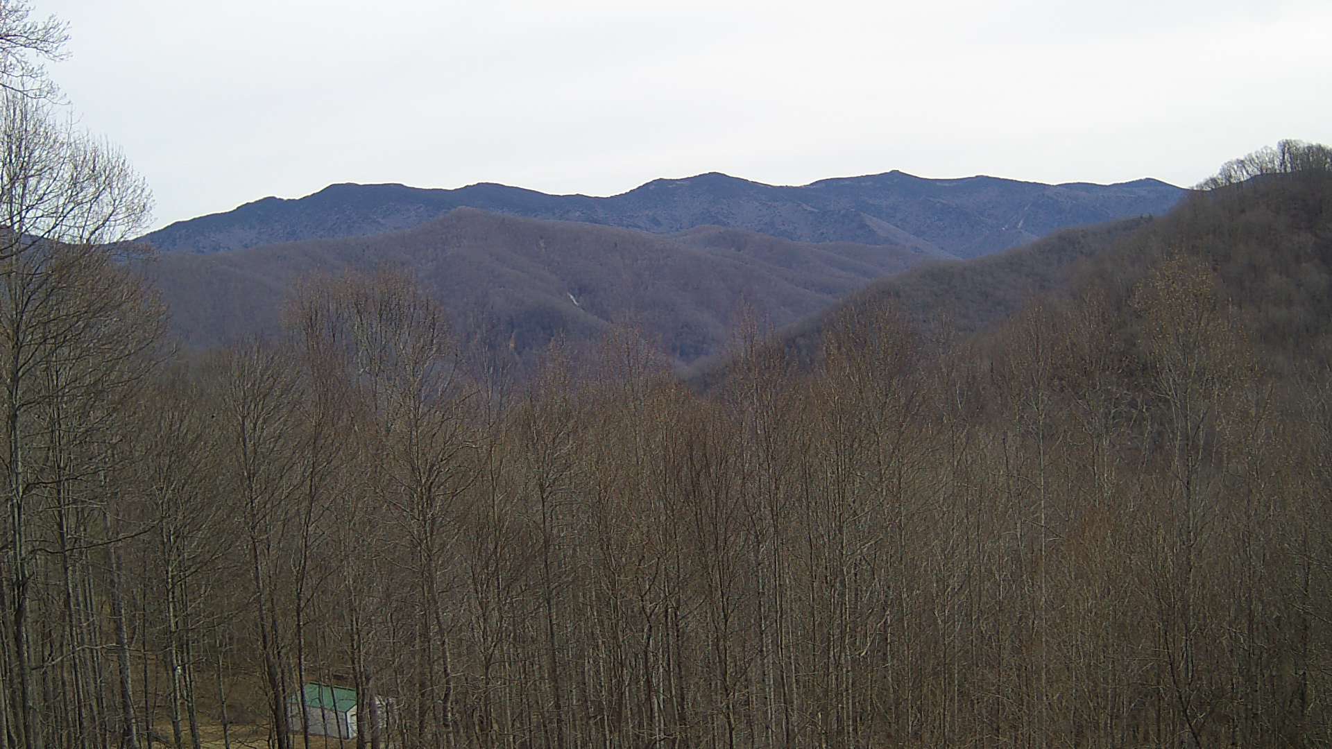 click for next image... slideshow image