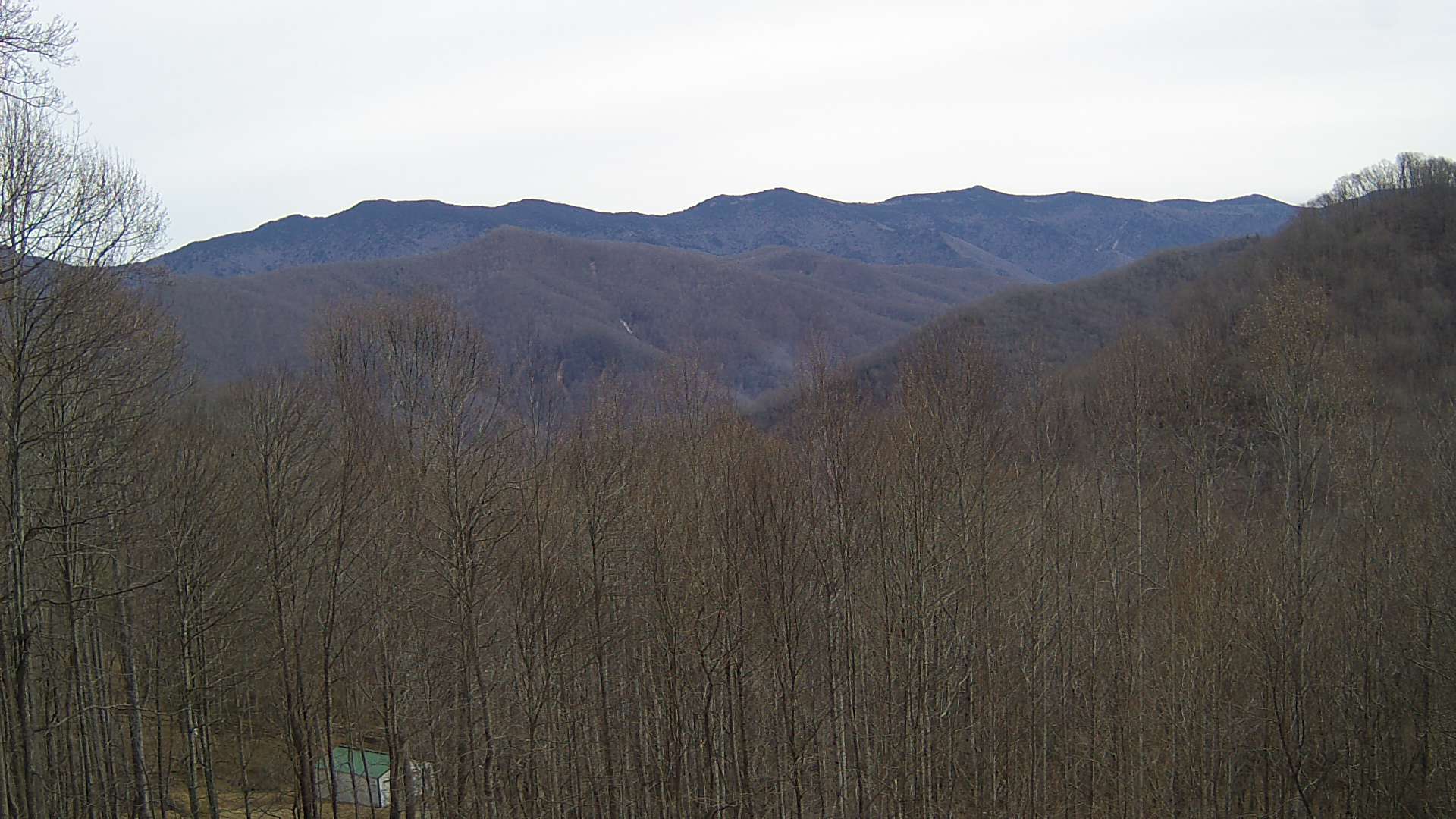 click for next image... slideshow image