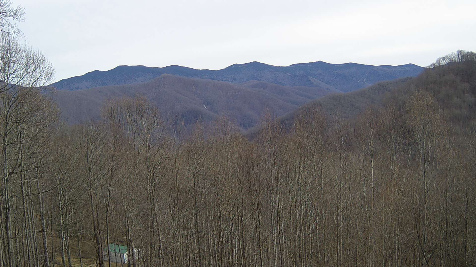 click for next image... slideshow image