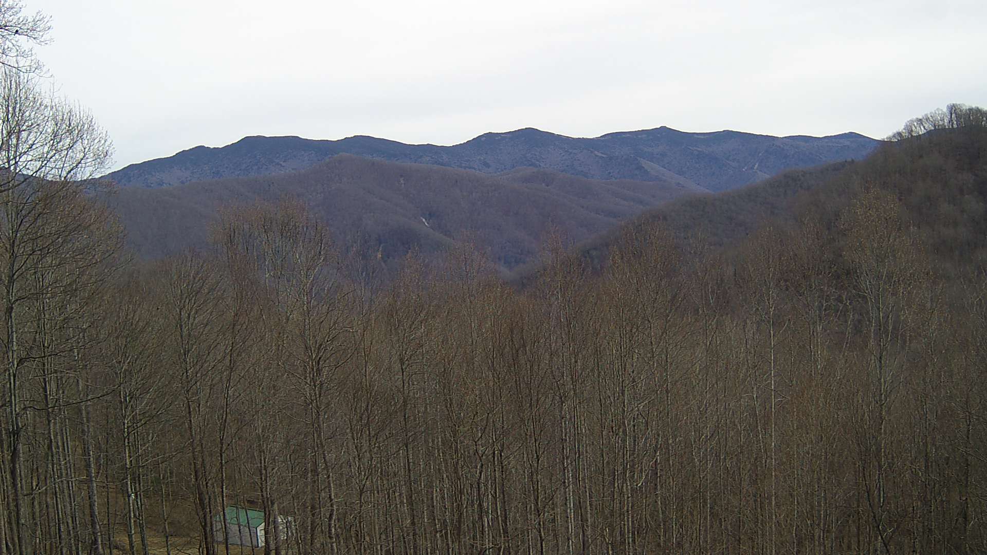 click for next image... slideshow image