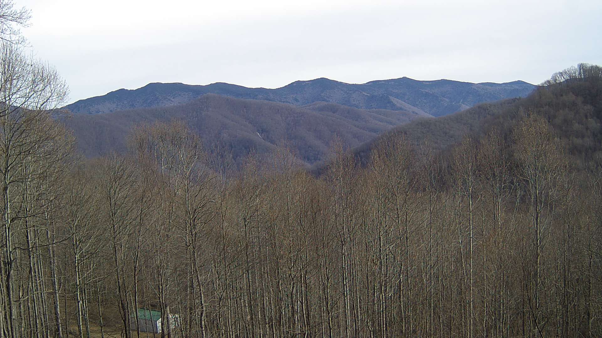 click for next image... slideshow image