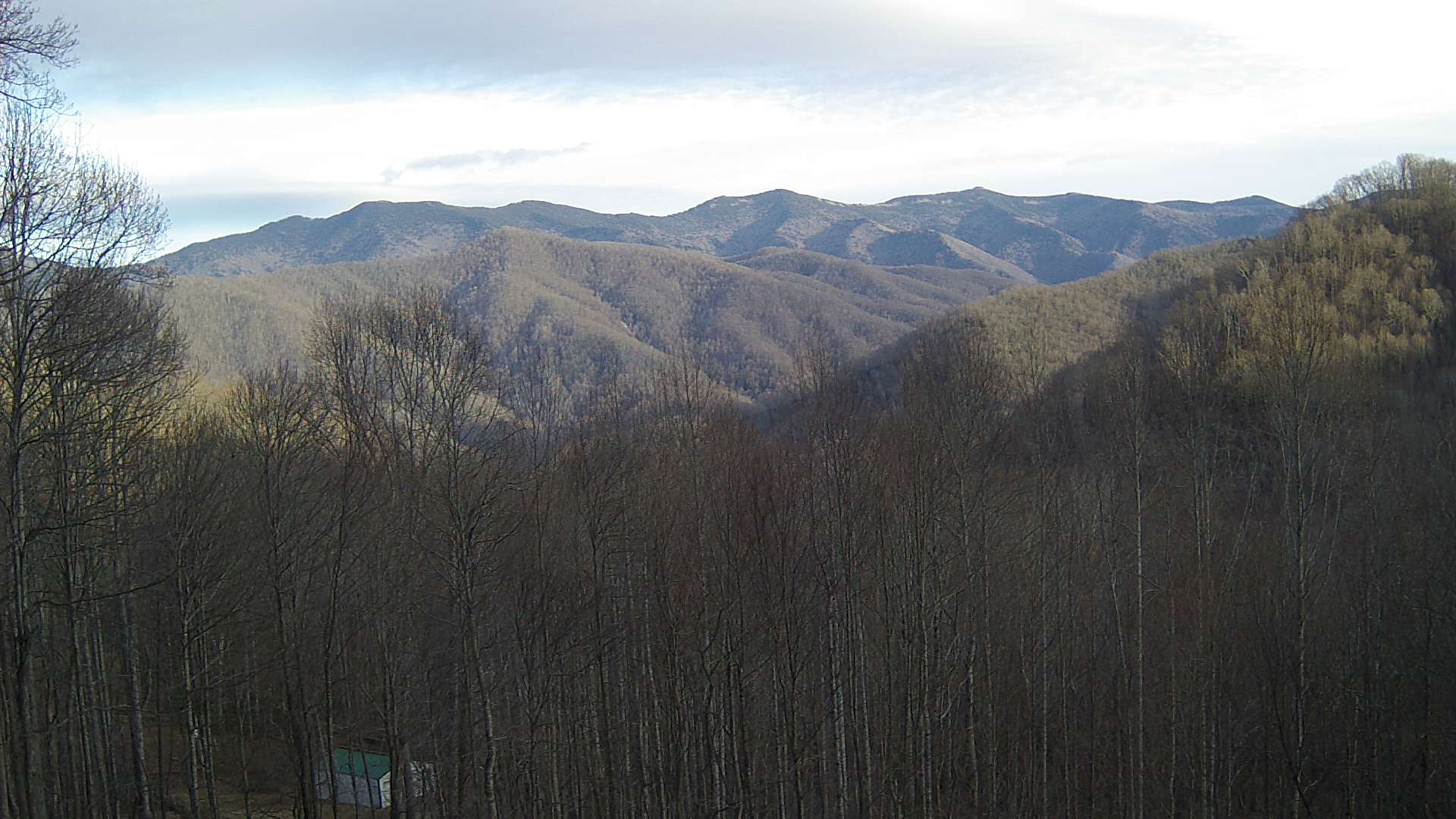 click for next image... slideshow image