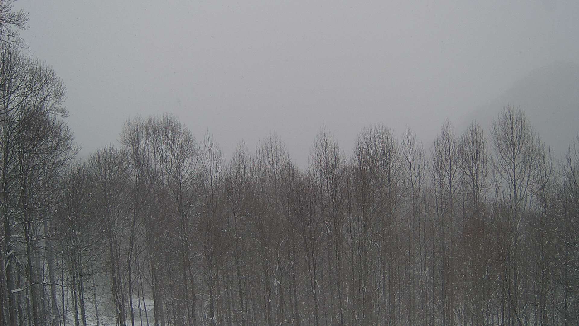 click for next image... slideshow image