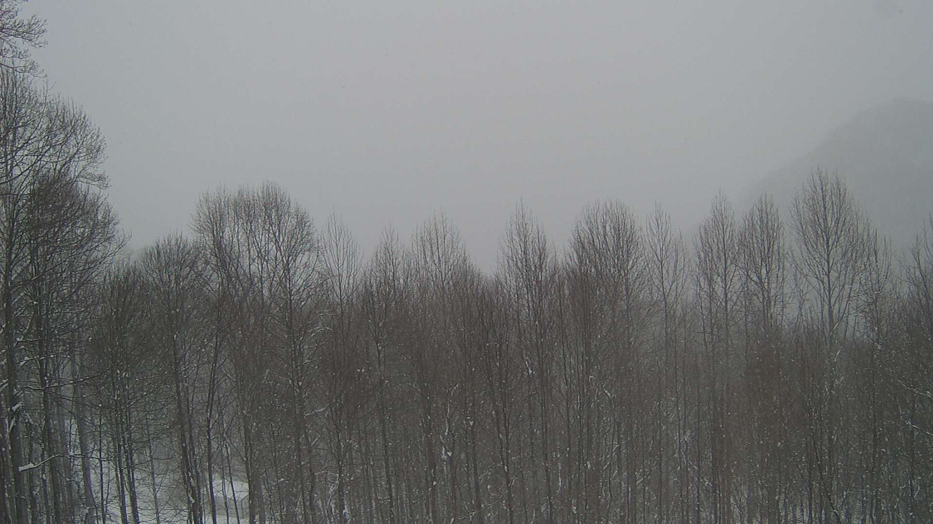 click for next image... slideshow image