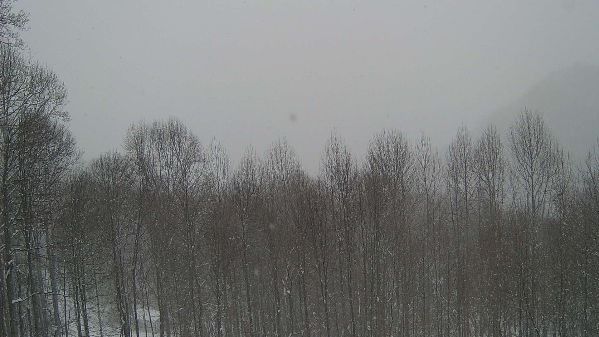 click for next image... slideshow image