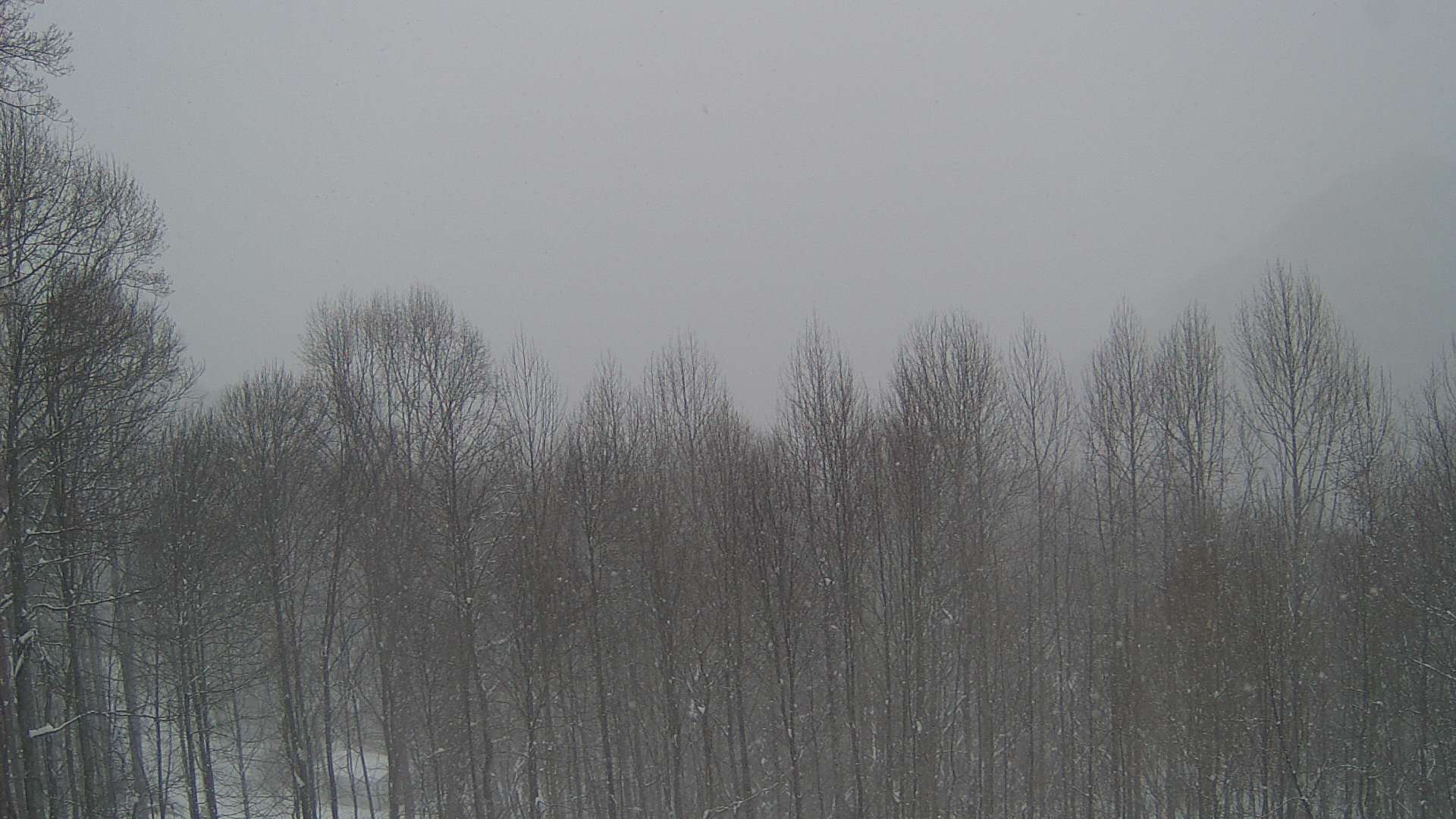 click for next image... slideshow image