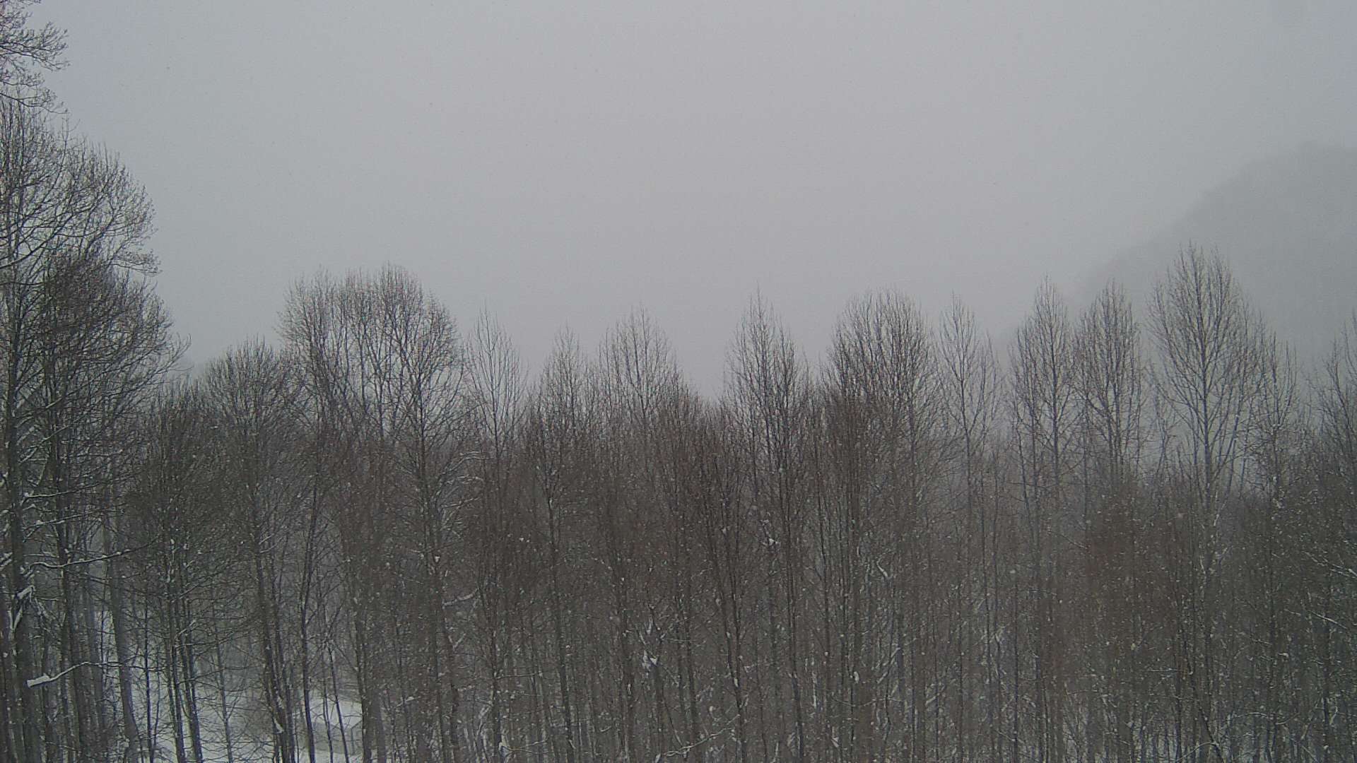 click for next image... slideshow image